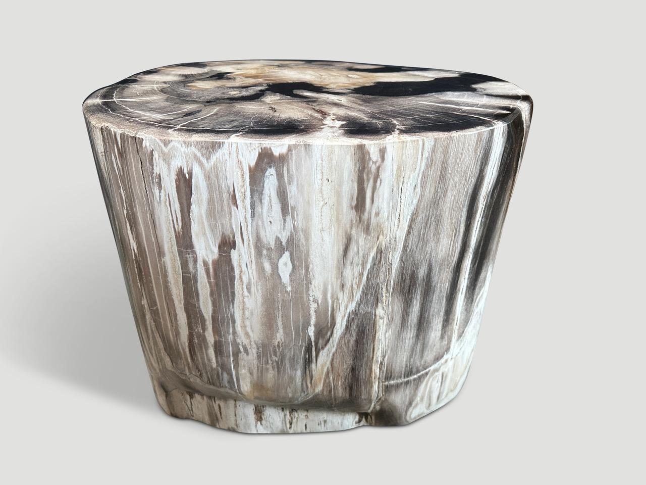 Impressive beautiful tones on this high quality super smooth petrified wood side table. It’s fascinating how Mother Nature produces these stunning 40 million year old petrified teak logs with such contrasting colors and natural patterns throughout.