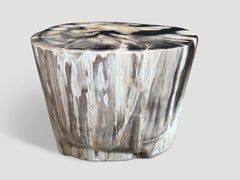 Andrianna Shamaris High Quality Petrified Wood Side Table