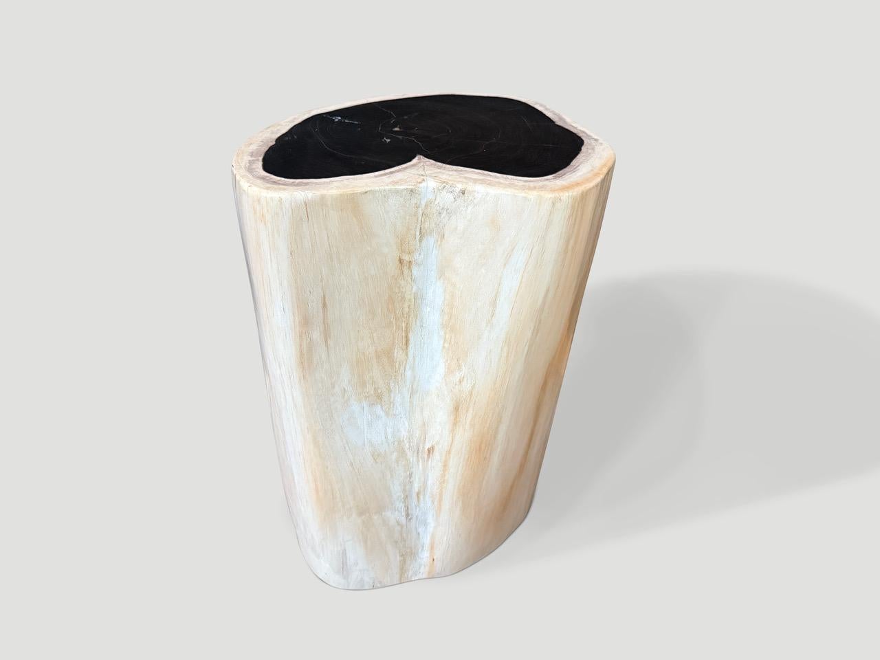 Impressive beautiful contrasting tones on this high quality super smooth petrified wood side table. It’s fascinating how Mother Nature produces these stunning 40 million year old petrified teak logs with such contrasting colors and natural patterns