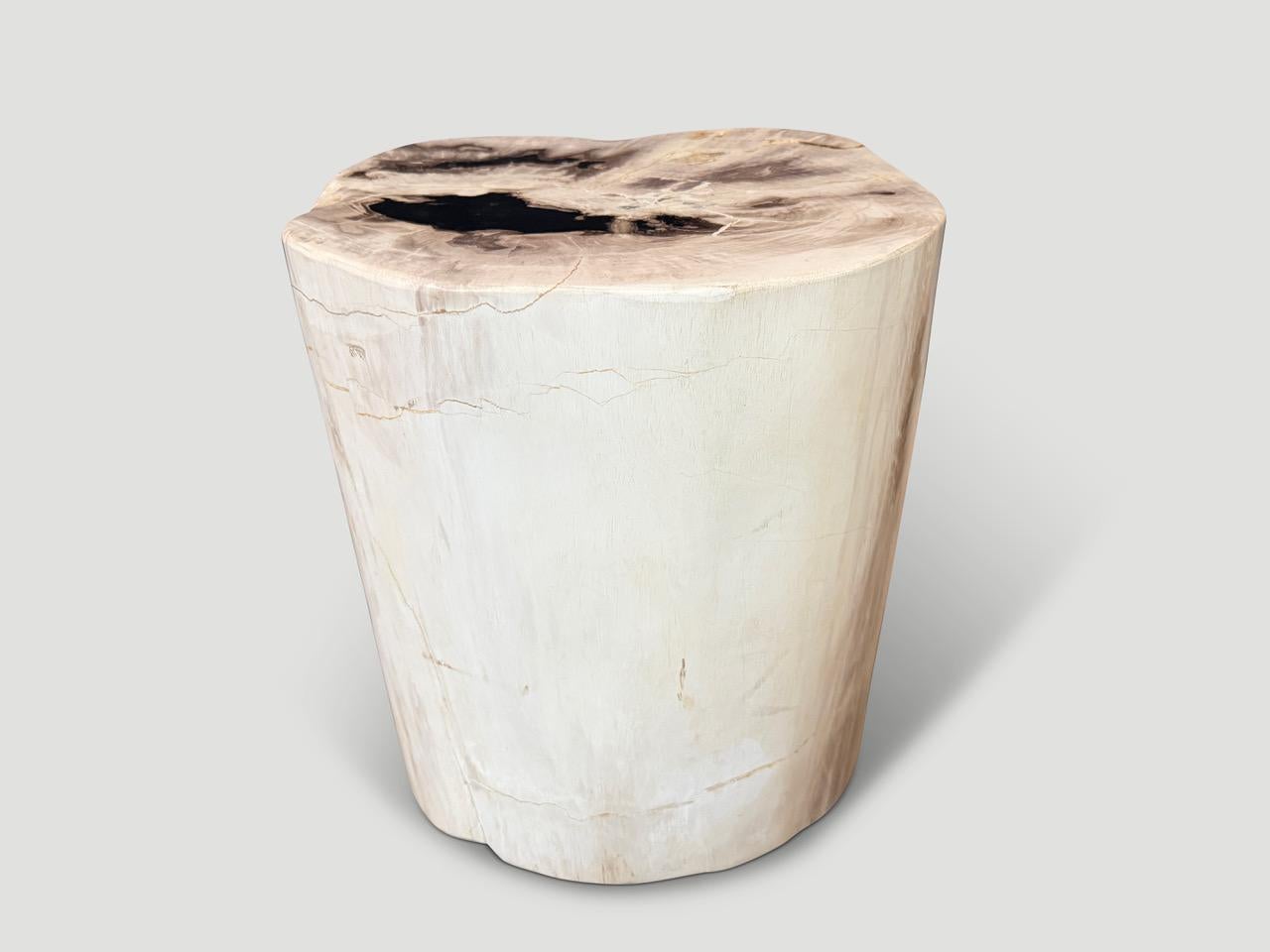 Cette table d'appoint en bois pétrifié de haute qualité présente des tons impressionnants. Il est fascinant de voir comment Mère Nature produit ces stupéfiants troncs de teck pétrifiés vieux de 40 millions d'années, aux couleurs si contrastées et