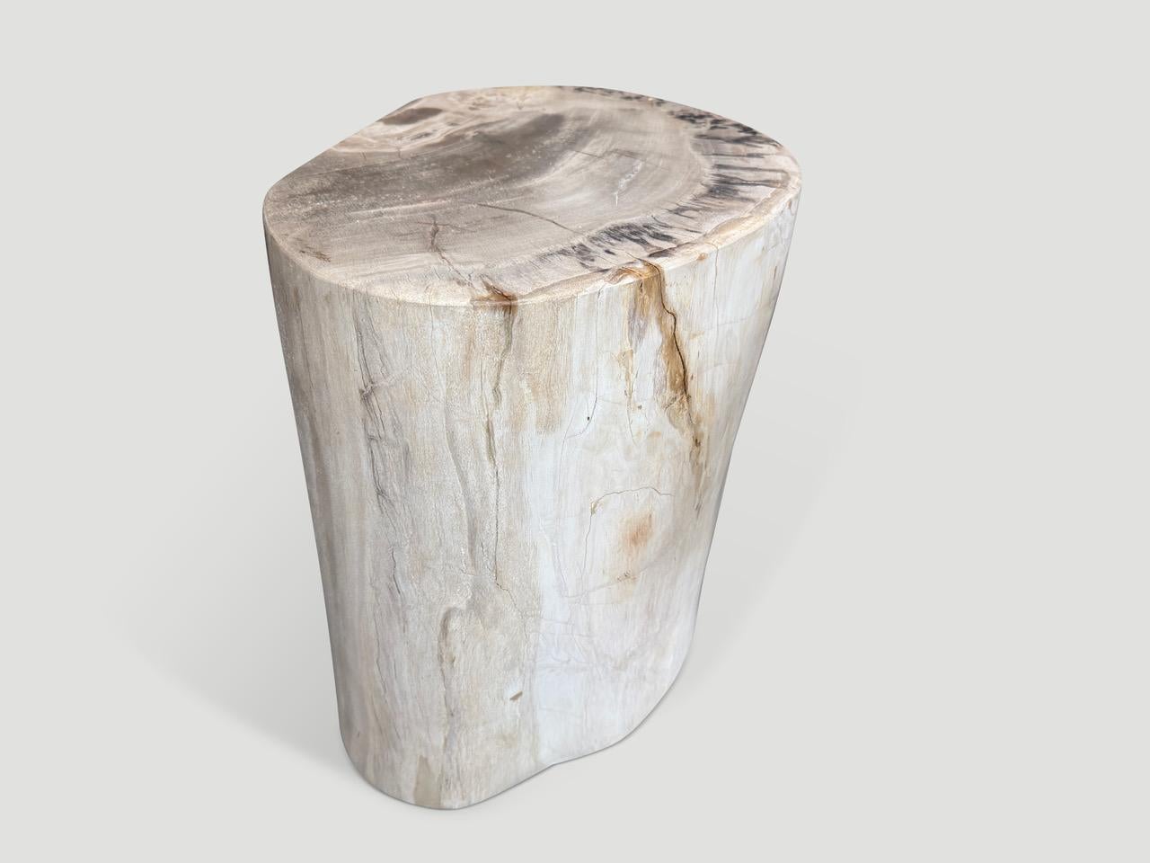Impresionante belleza de tonos en esta mesa auxiliar de madera petrificada de alta calidad. Es fascinante cómo la Mother Nature produce estos asombrosos troncos de teca petrificada de 40 millones de años de antigüedad, con colores tan contrastados y