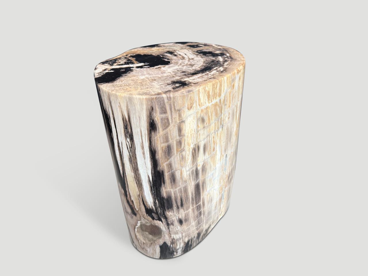Impresionante belleza de tonos en esta mesa auxiliar de madera petrificada de alta calidad. Es fascinante cómo la Mother Nature produce estos asombrosos troncos de teca petrificada de 40 millones de años de antigüedad, con colores tan contrastados y