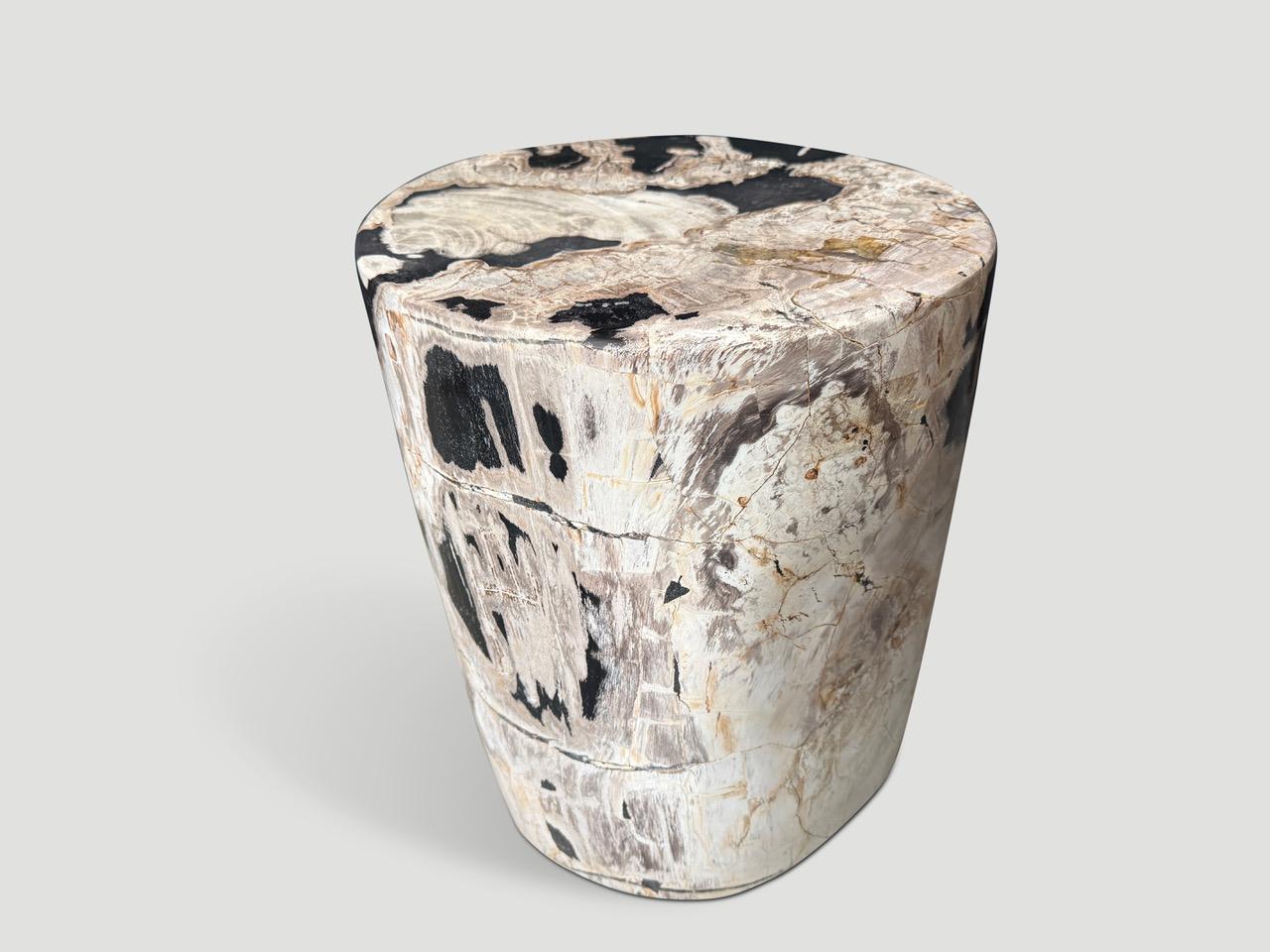 Cette table d'appoint en bois pétrifié de haute qualité présente des tons impressionnants. Il est fascinant de voir comment Mère Nature produit ces étonnants troncs de teck pétrifiés, vieux de 40 millions d'années, avec des couleurs et des motifs