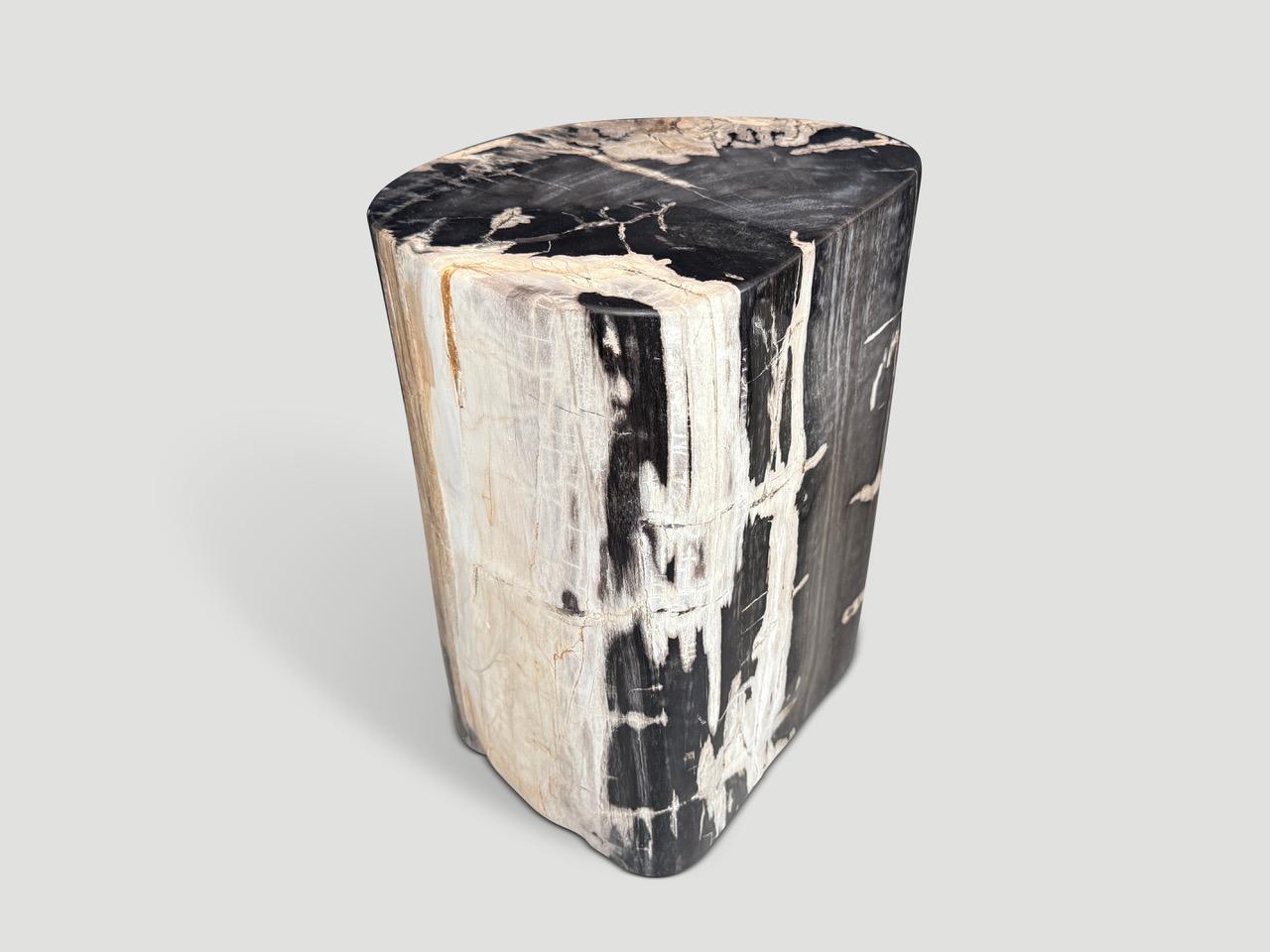 Impresionante belleza de tonos en esta mesa auxiliar de madera petrificada de alta calidad. Es fascinante cómo la Mother Nature produce estos asombrosos troncos de teca petrificada de 40 millones de años de antigüedad, con colores tan contrastados y