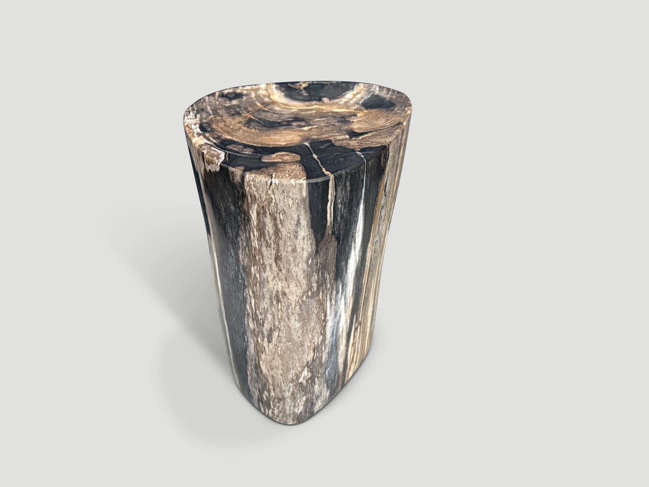 Impressive beautiful tones on this high quality petrified wood side table. It’s fascinating how Mother Nature produces these stunning 40 million year old petrified teak logs with such contrasting colors and natural patterns throughout. Modern yet