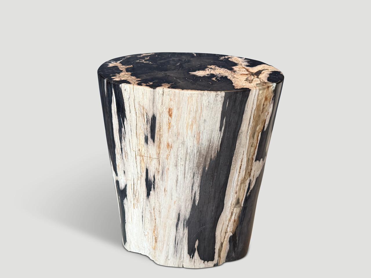 Impresionante belleza de tonos en esta mesa auxiliar de madera petrificada de alta calidad. Es fascinante cómo la Mother Nature produce estos asombrosos troncos de teca petrificada de 40 millones de años de antigüedad, con colores tan contrastados y