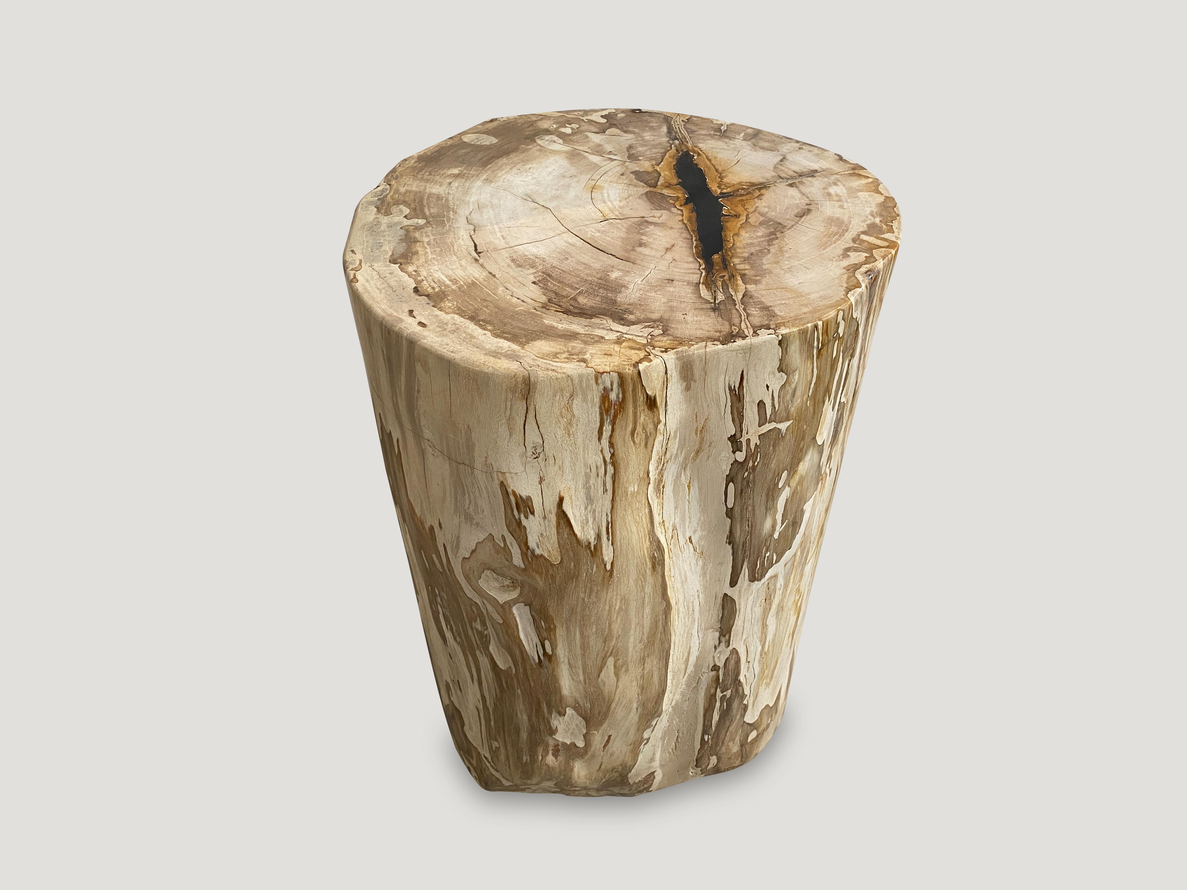 Organic Modern Andrianna Shamaris High Quality Petrified Wood Side Table