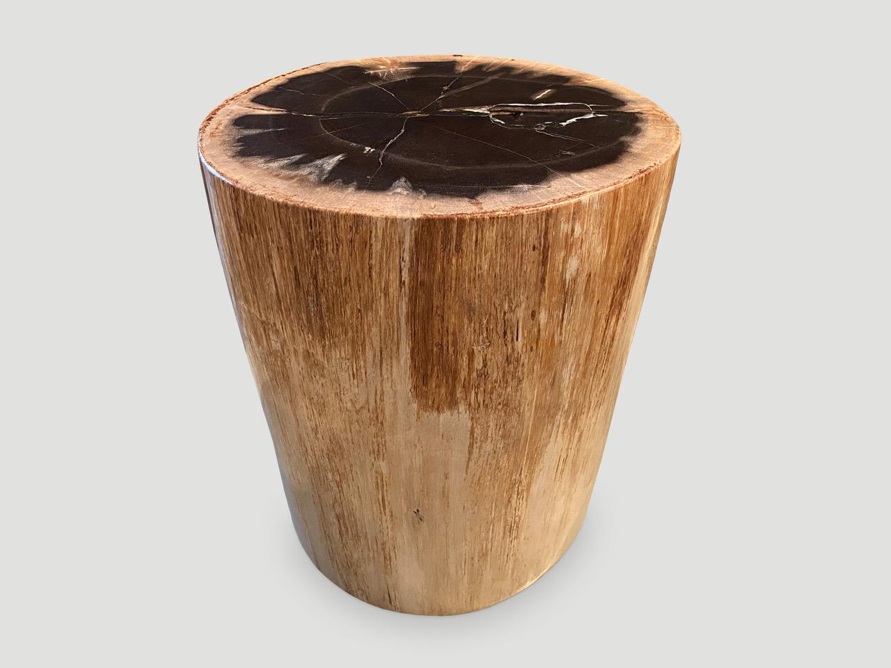 Beistelltisch aus versteinertem Holz von hoher Qualität (Organische Moderne) im Angebot