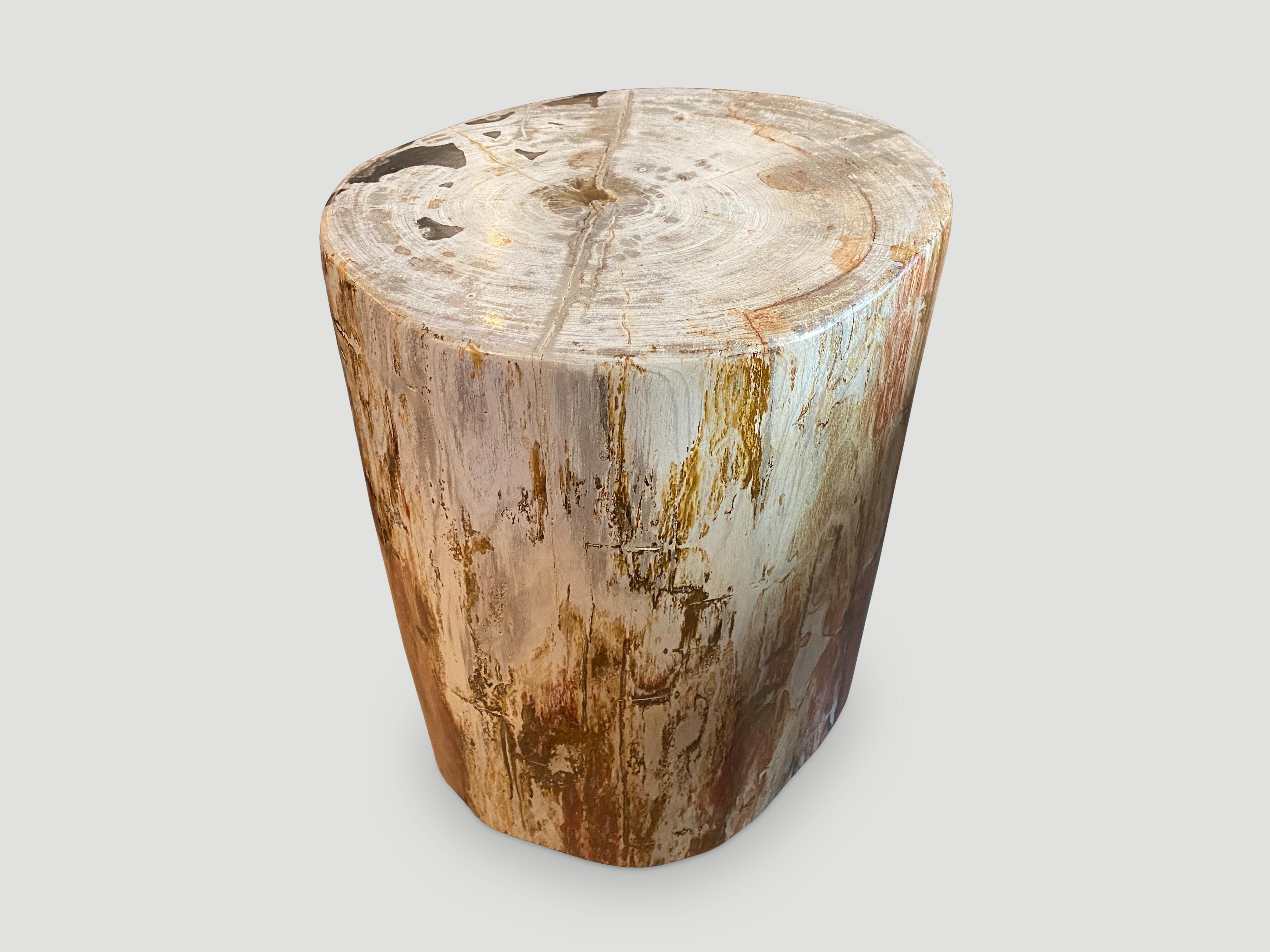 Andrianna Shamaris Hochwertiger Beistelltisch aus versteinertem Holz (Organische Moderne) im Angebot