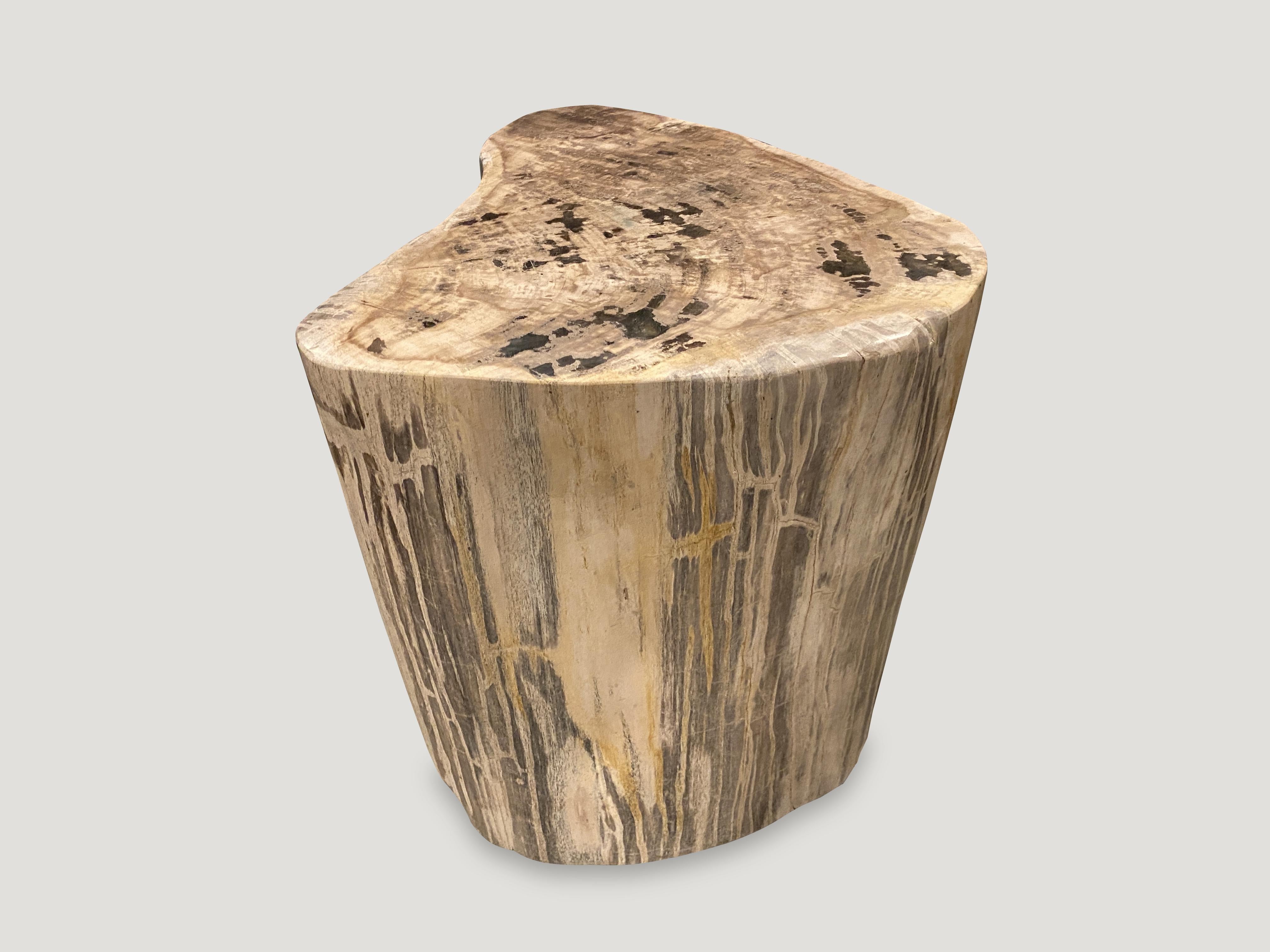 Organic Modern Andrianna Shamaris High Quality Petrified Wood Side Table For Sale