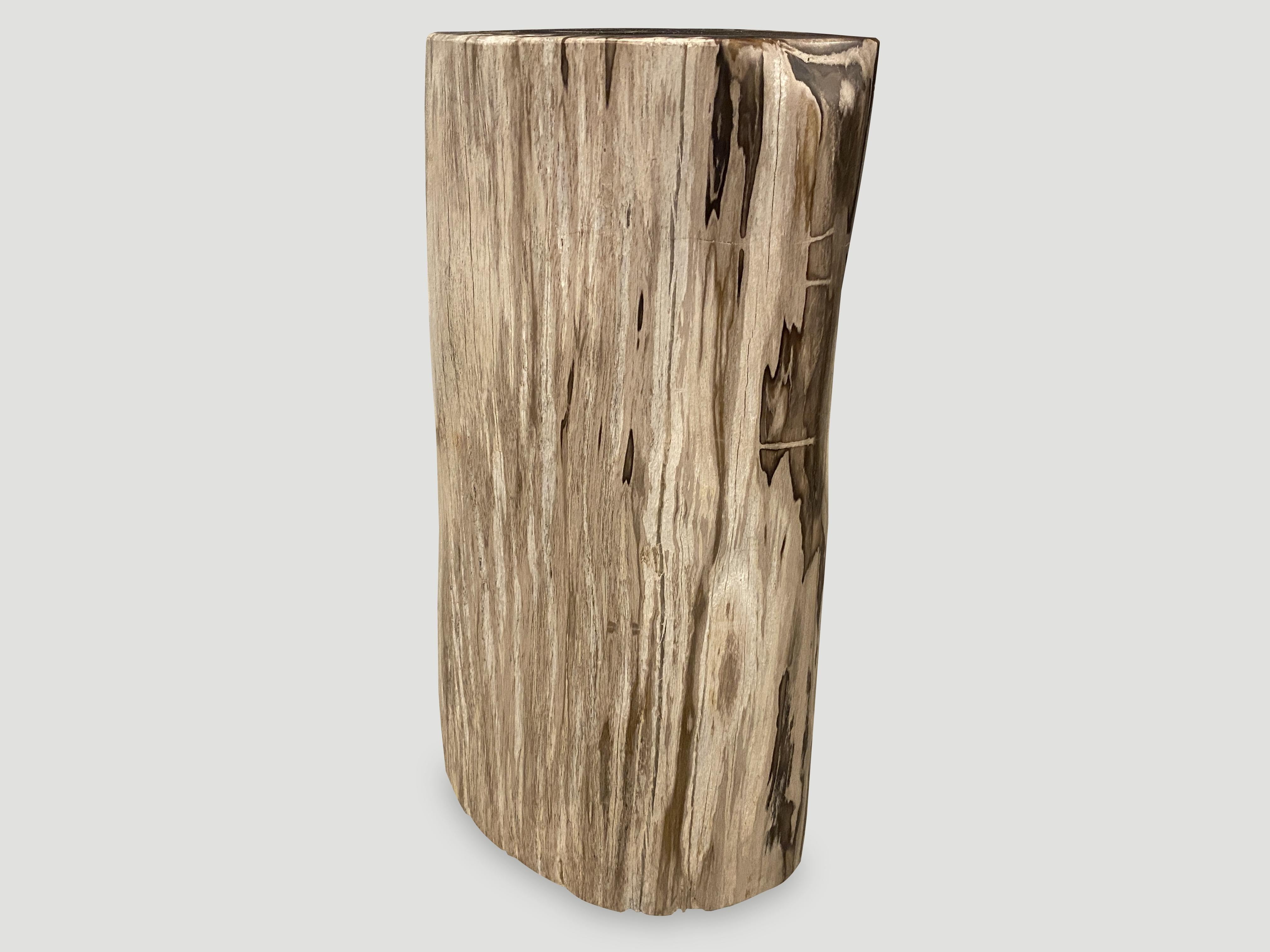 Organic Modern Andrianna Shamaris High Quality Petrified Wood Side Table