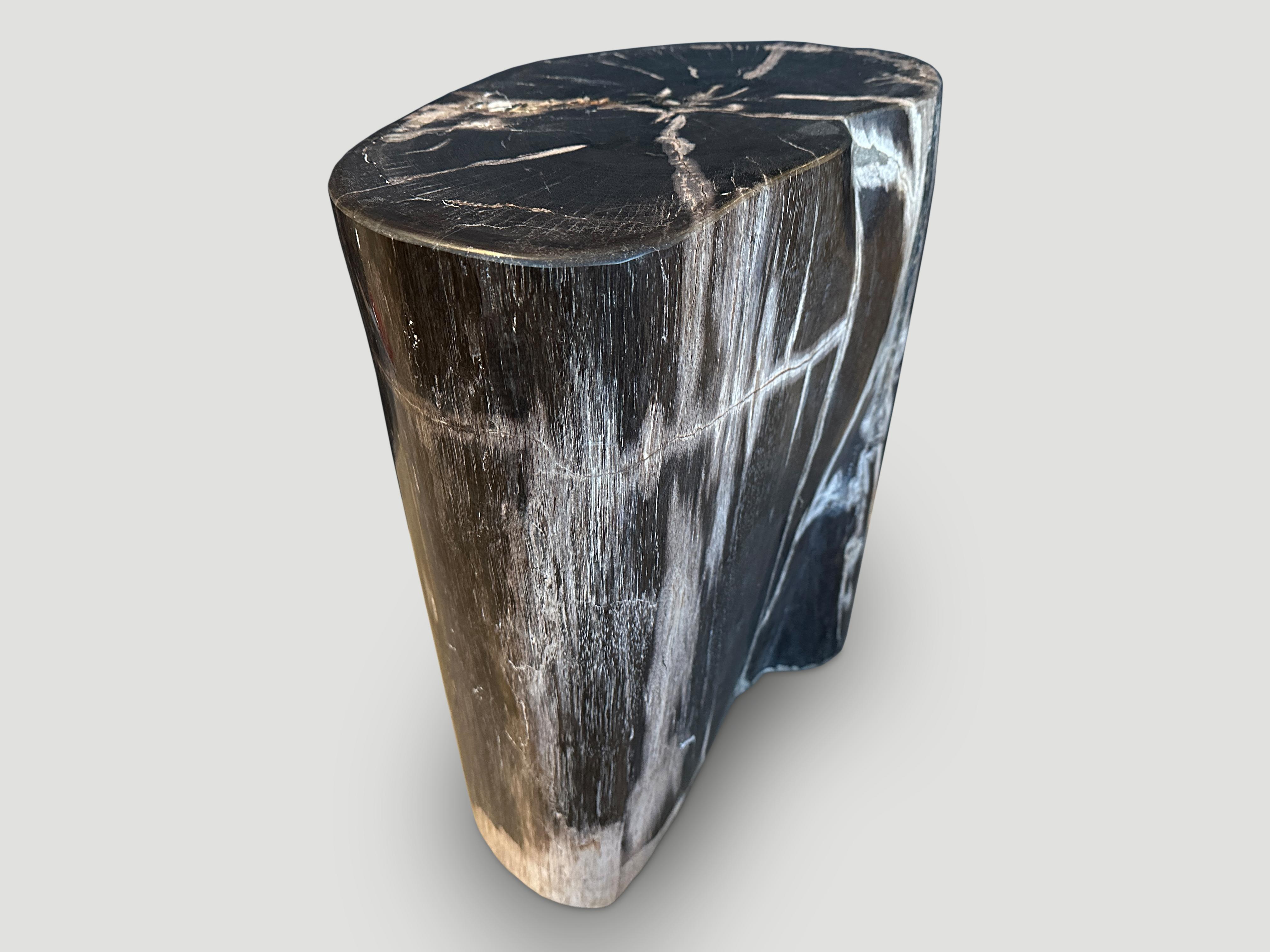 Organic Modern Andrianna Shamaris High Quality Petrified Wood Side Table