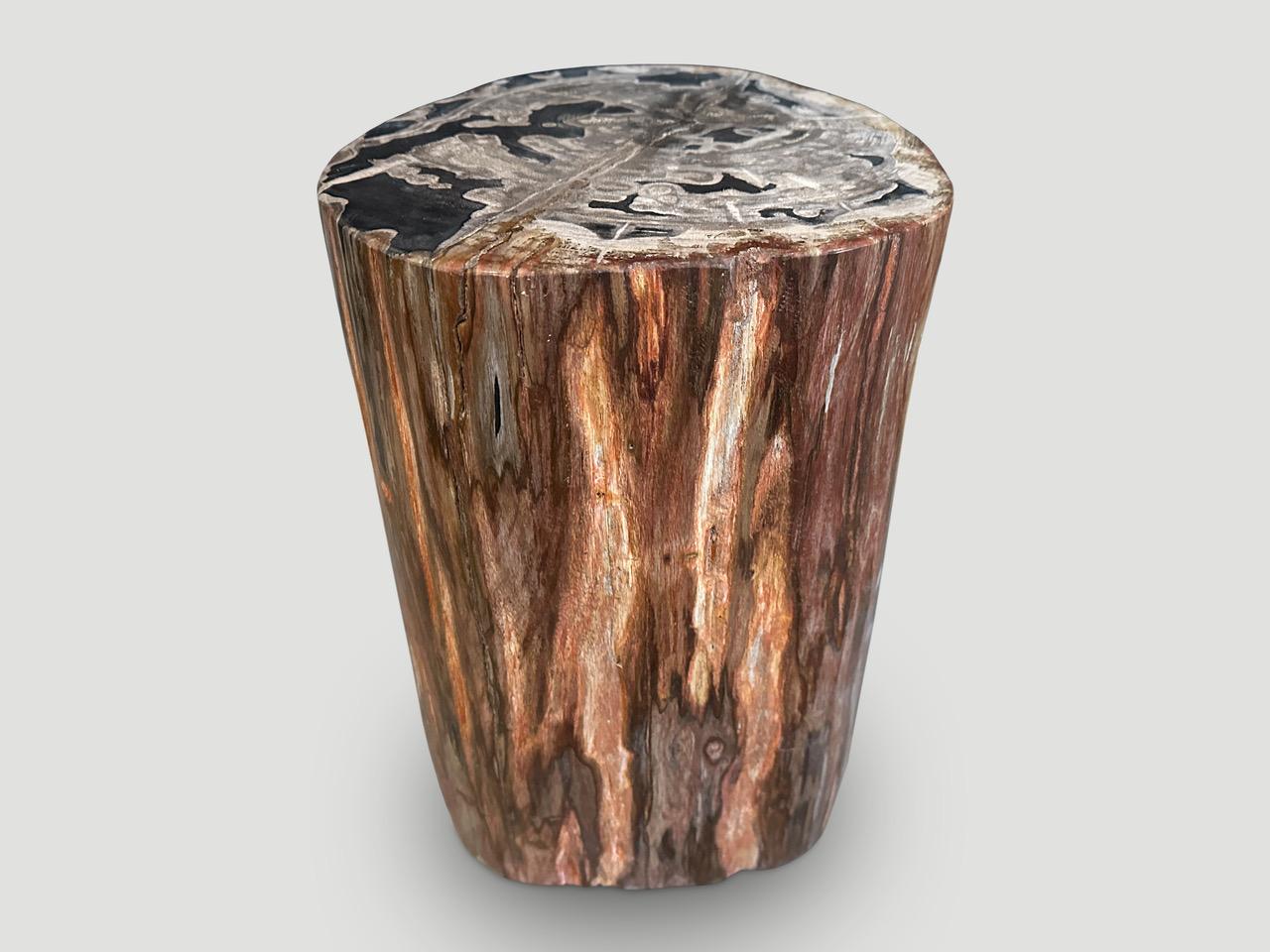 Organic Modern Andrianna Shamaris High Quality Petrified Wood Side Table For Sale
