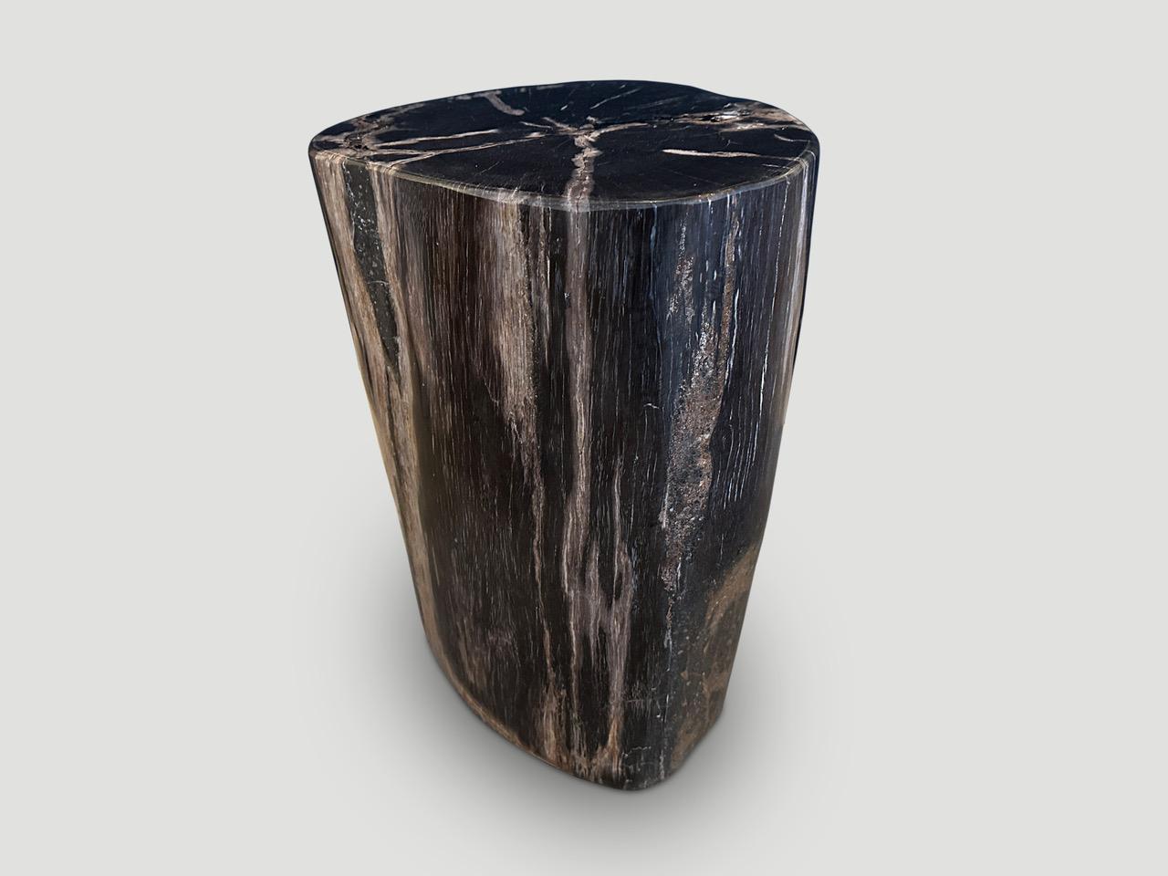 Organic Modern Andrianna Shamaris High Quality Petrified Wood Side Table