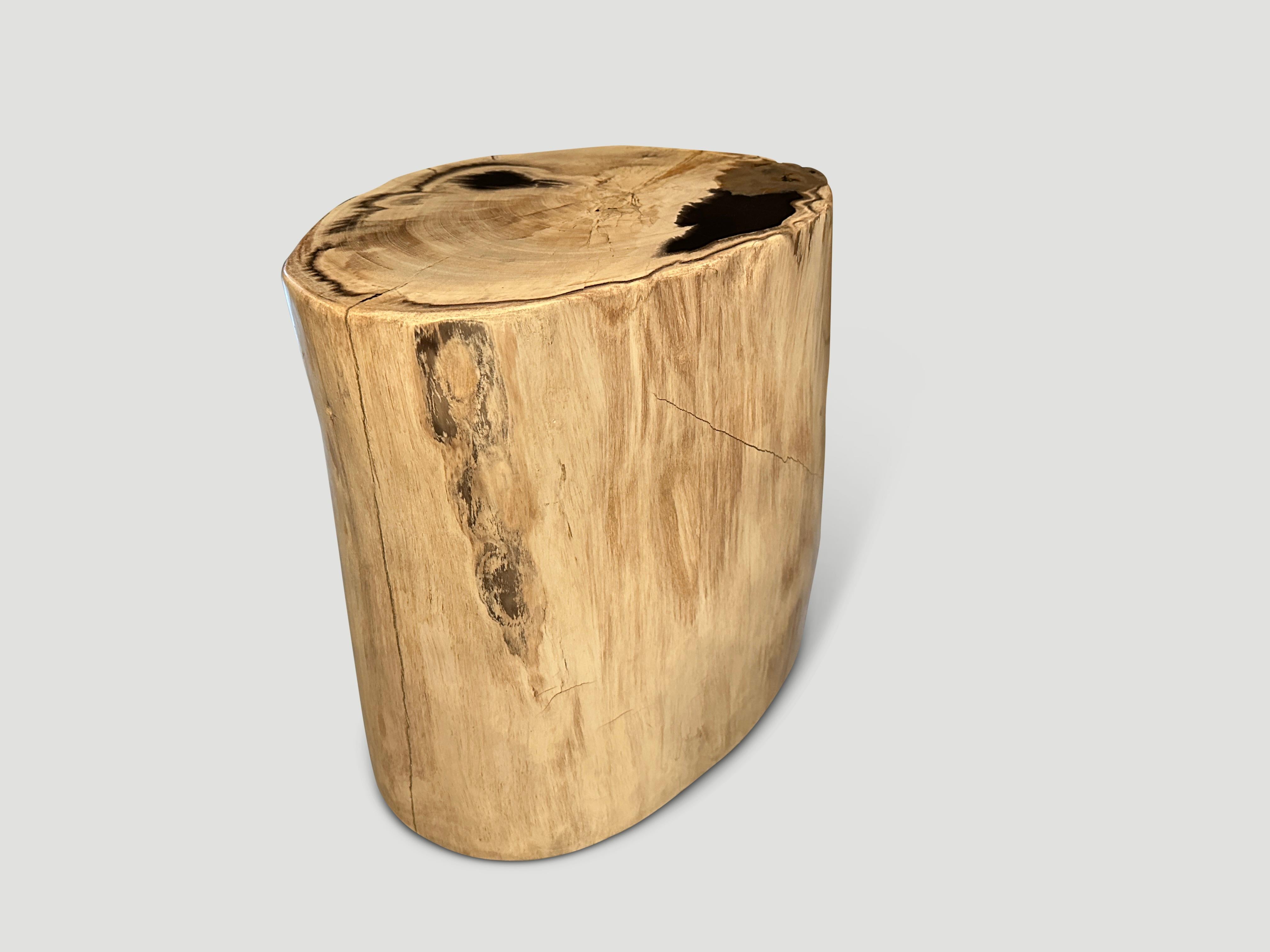 Andrianna Shamaris: Beistelltisch aus versteinertem Holz in hoher Qualität (Organische Moderne) im Angebot