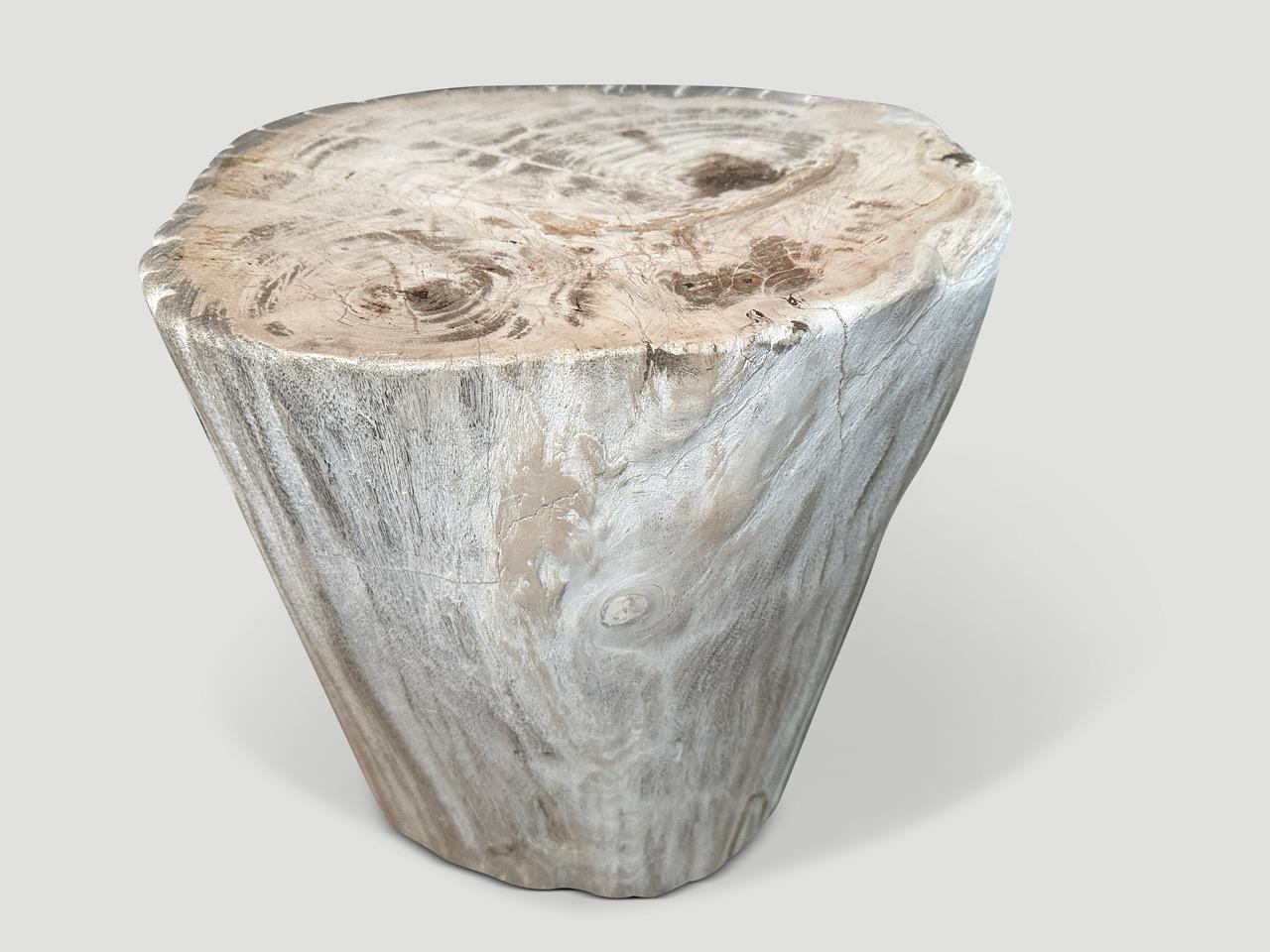 Organic Modern Andrianna Shamaris High Quality Petrified Wood Side Table For Sale