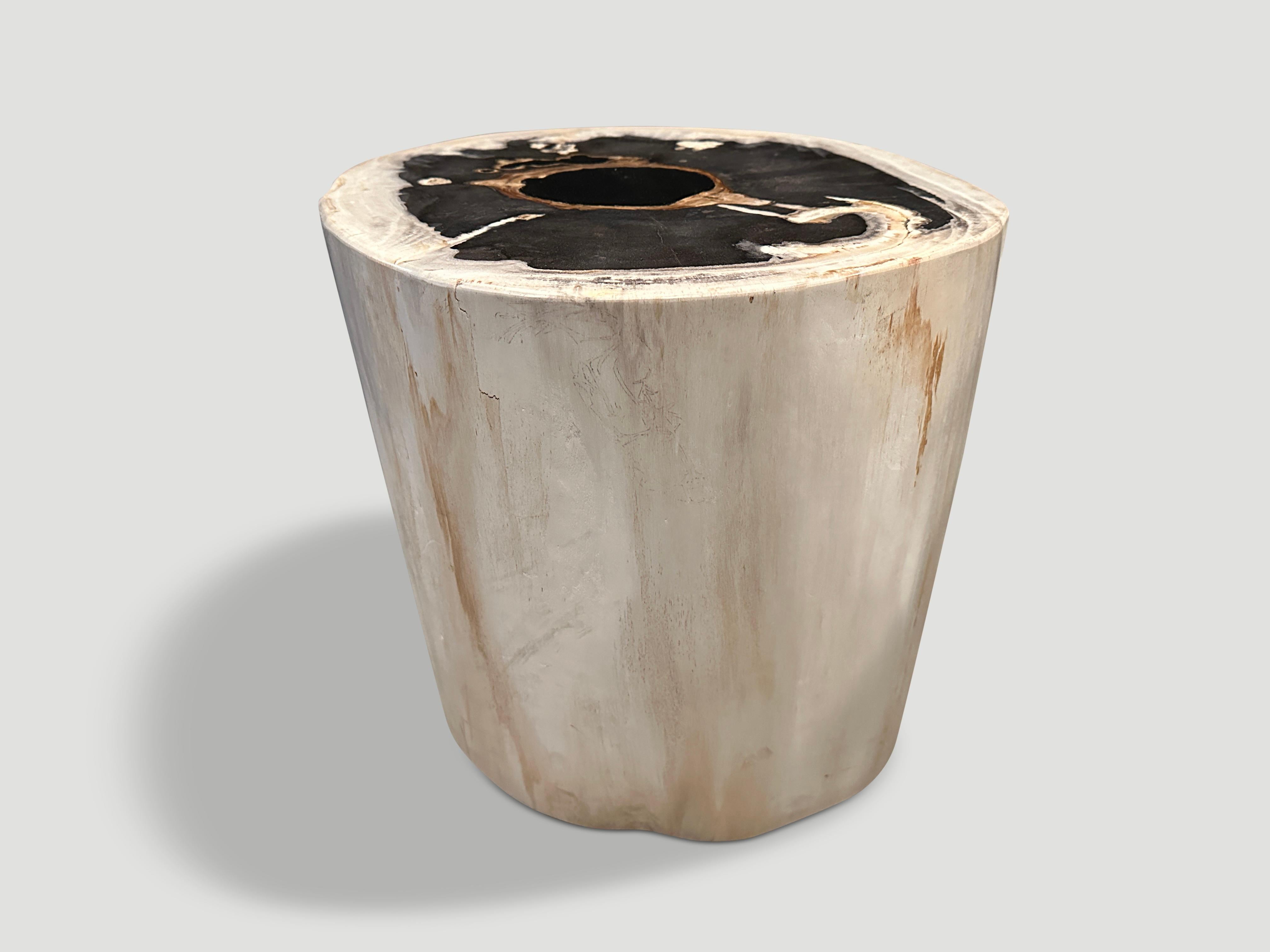 Organic Modern Andrianna Shamaris High Quality Petrified Wood Side Table  For Sale