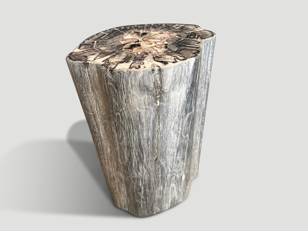 Organique Andrianna Shamaris table d'appoint en bois pétrifié de haute qualité en vente