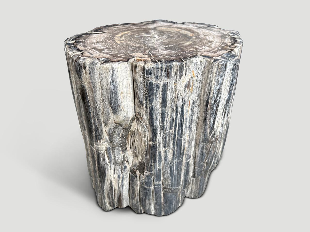 Organique Andrianna Shamaris table d'appoint en bois pétrifié de haute qualité en vente