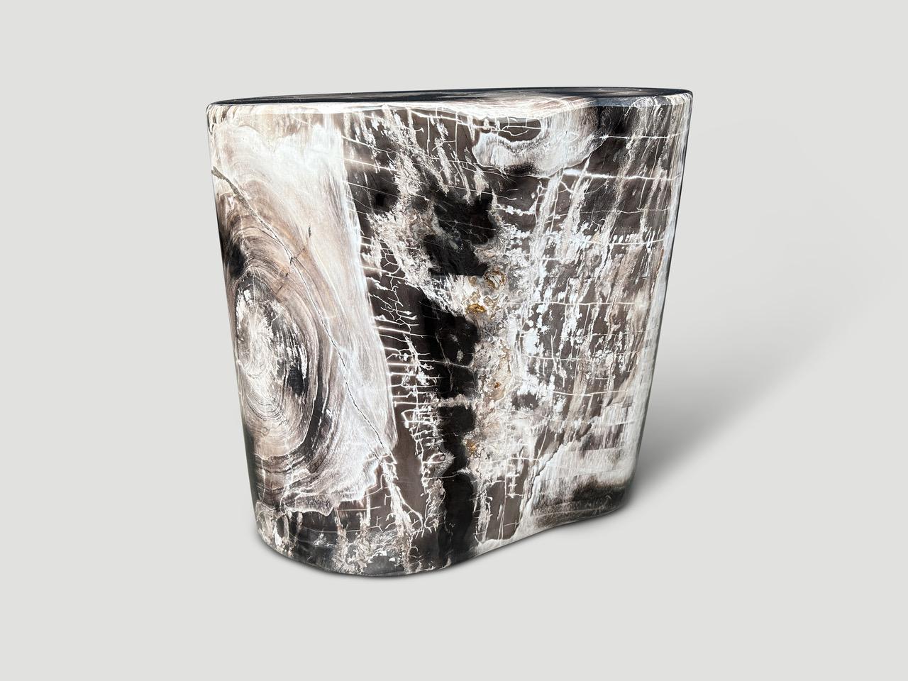 Organic Modern Andrianna Shamaris High Quality Petrified Wood Side Table