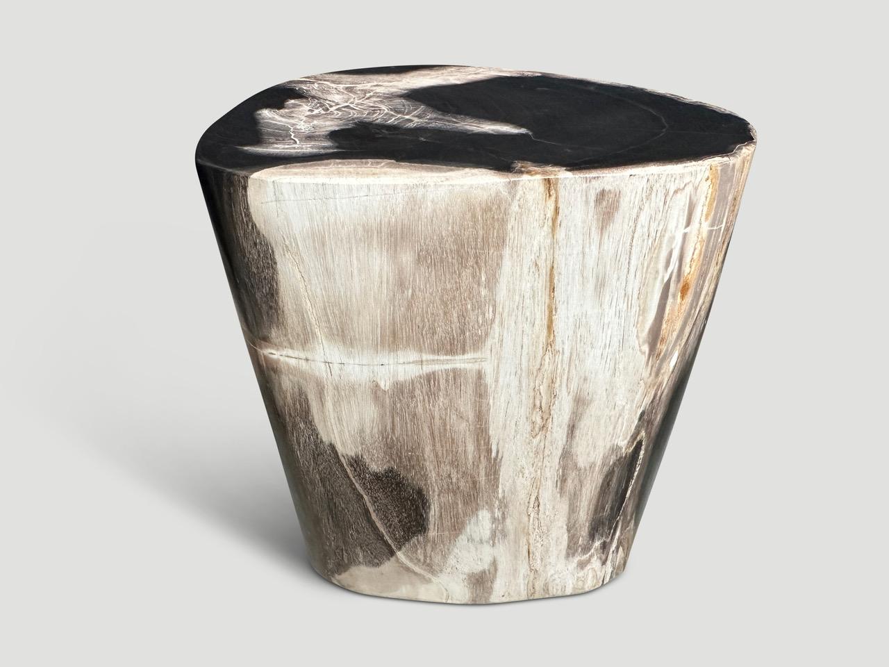 Organic Modern Andrianna Shamaris High Quality Petrified Wood Side Table