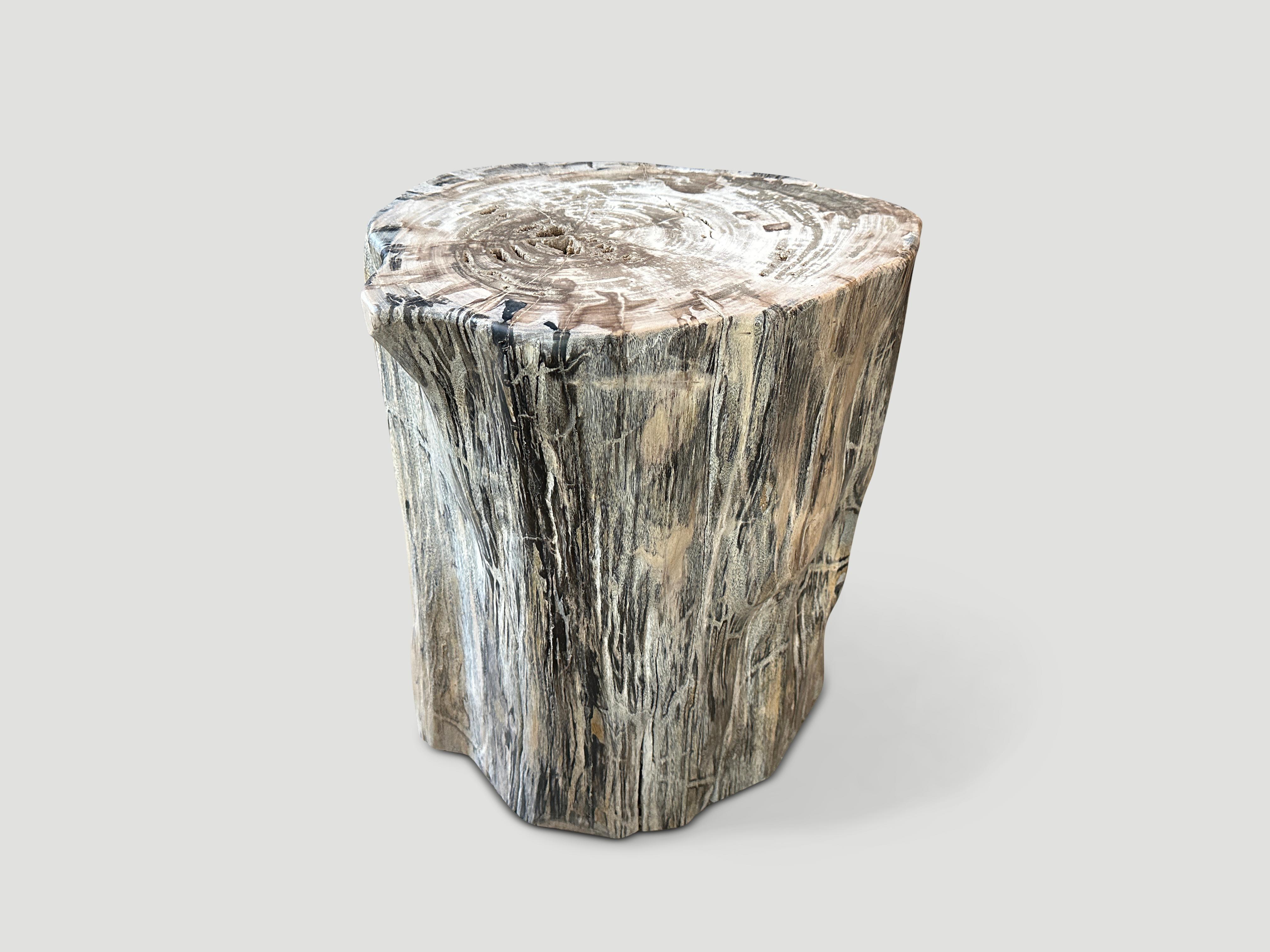 Organic Modern Andrianna Shamaris High Quality Petrified Wood Side Table