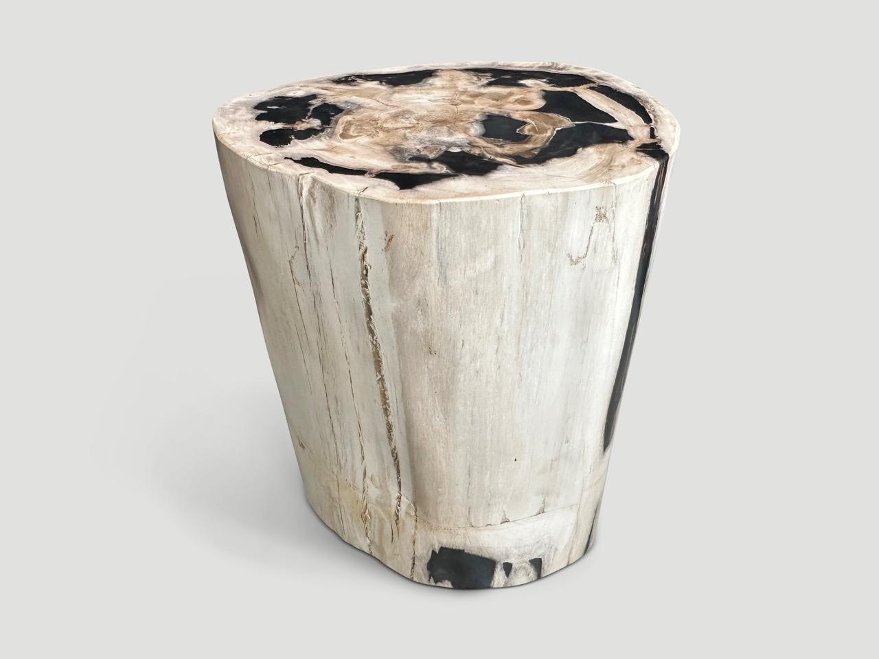 Organic Modern Andrianna Shamaris High Quality Petrified Wood Side Table
