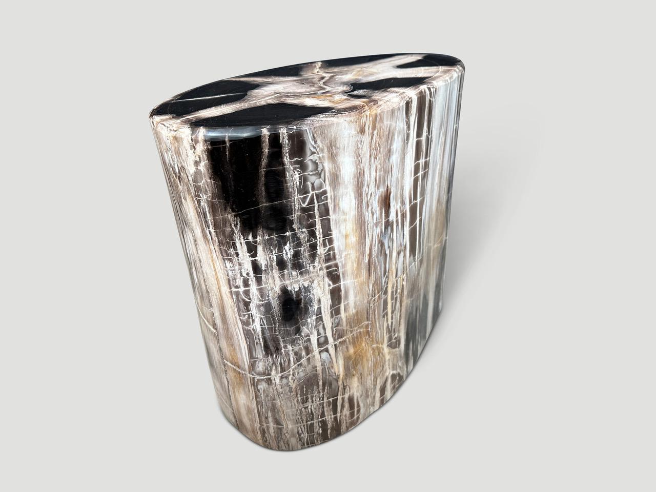 Organic Modern Andrianna Shamaris High Quality Petrified Wood Side Table