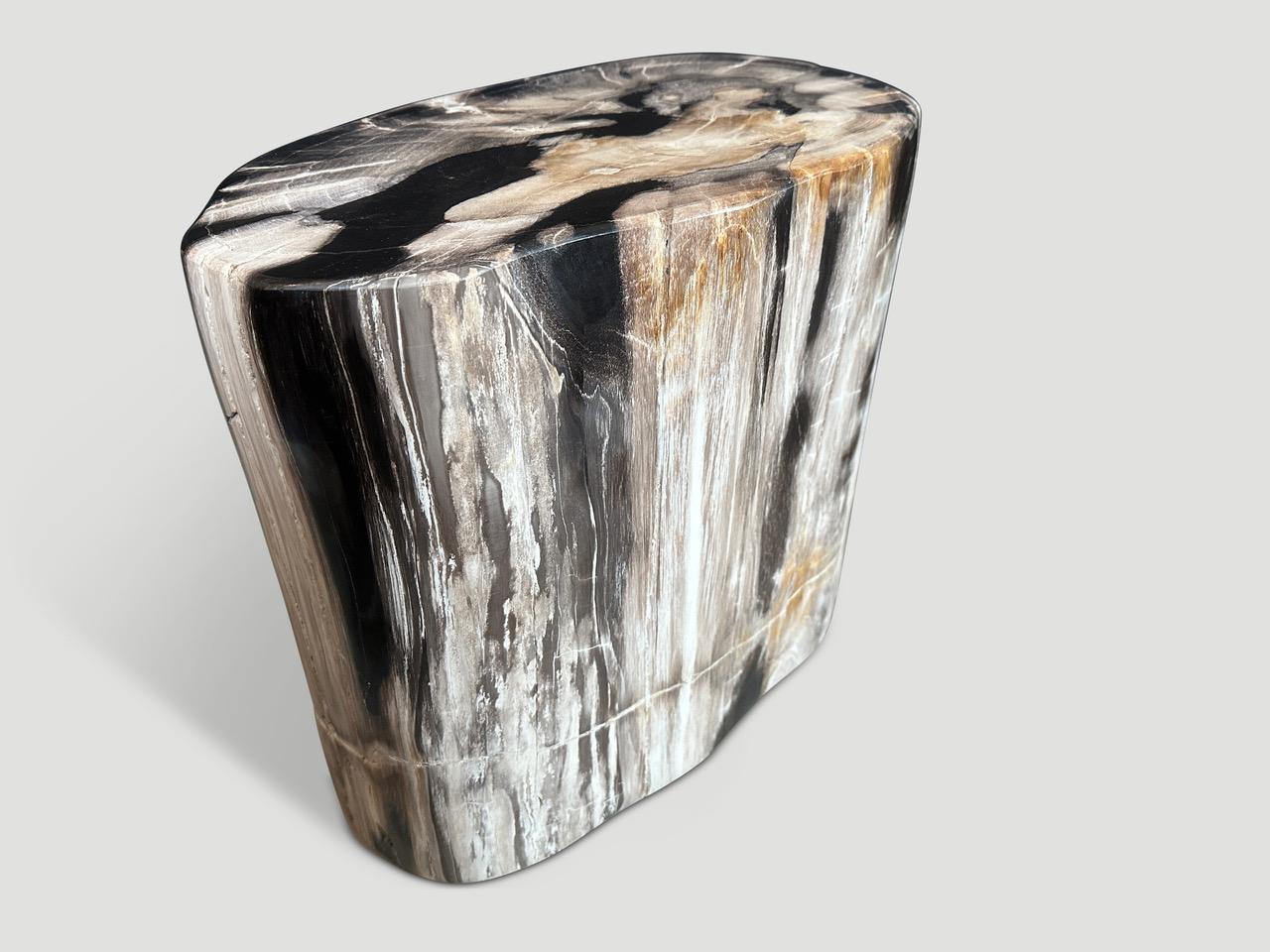 Organic Modern Andrianna Shamaris High Quality Petrified Wood Side Table