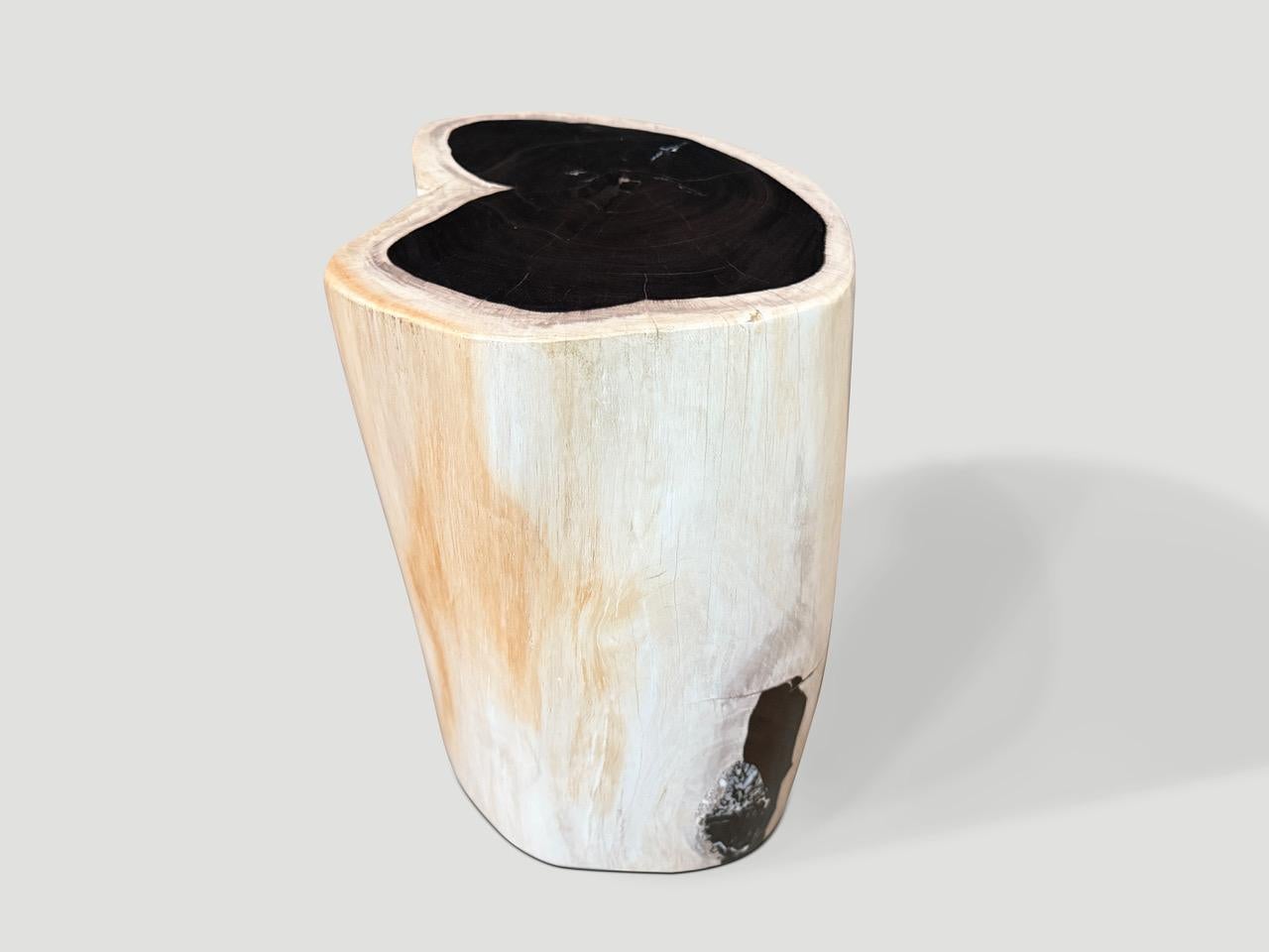 Organic Modern Andrianna Shamaris High Quality Petrified Wood Side Table For Sale