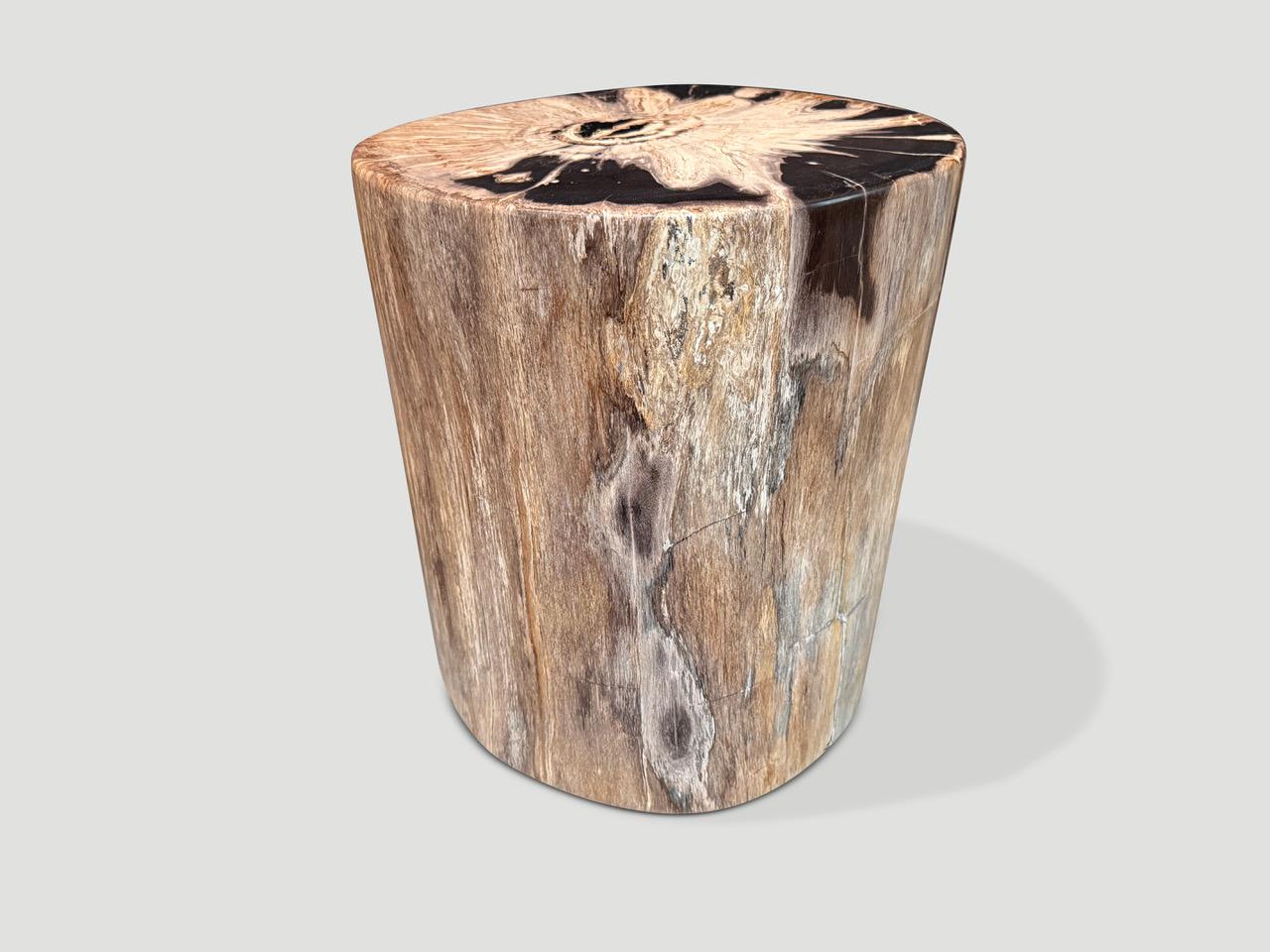 Organic Modern Andrianna Shamaris High Quality Petrified Wood Side Table For Sale