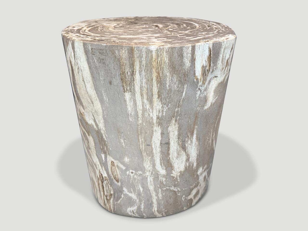 Organique Andrianna Shamaris table d'appoint en bois pétrifié de haute qualité en vente