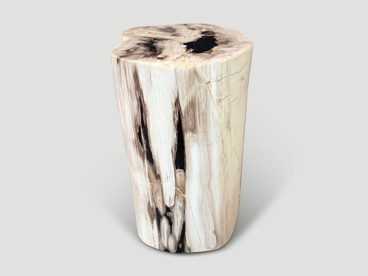 Organique Andrianna Shamaris table d'appoint en bois pétrifié de haute qualité en vente