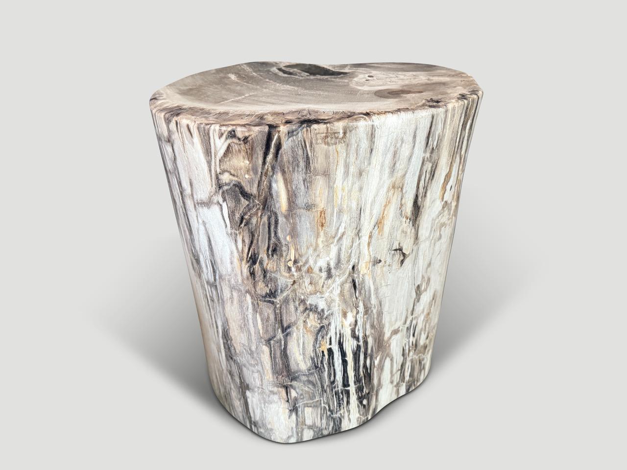 Organic Modern Andrianna Shamaris High Quality Petrified Wood Side Table For Sale