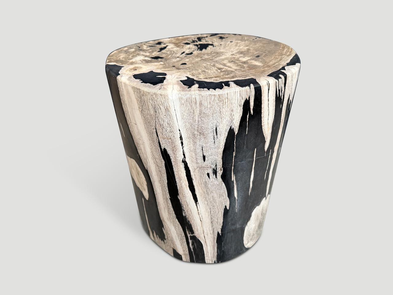 Organic Modern Andrianna Shamaris High Quality Petrified Wood Side Table For Sale
