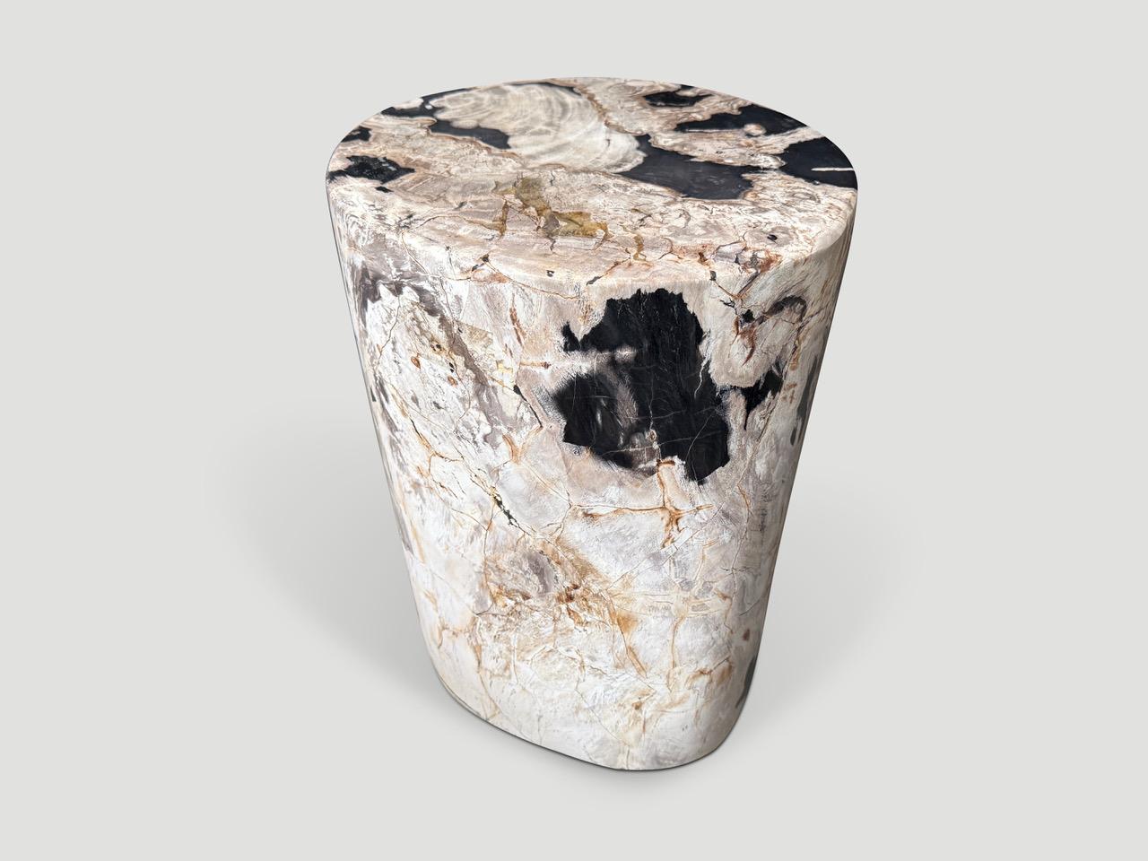 Organique Andrianna Shamaris table d'appoint en bois pétrifié de haute qualité en vente
