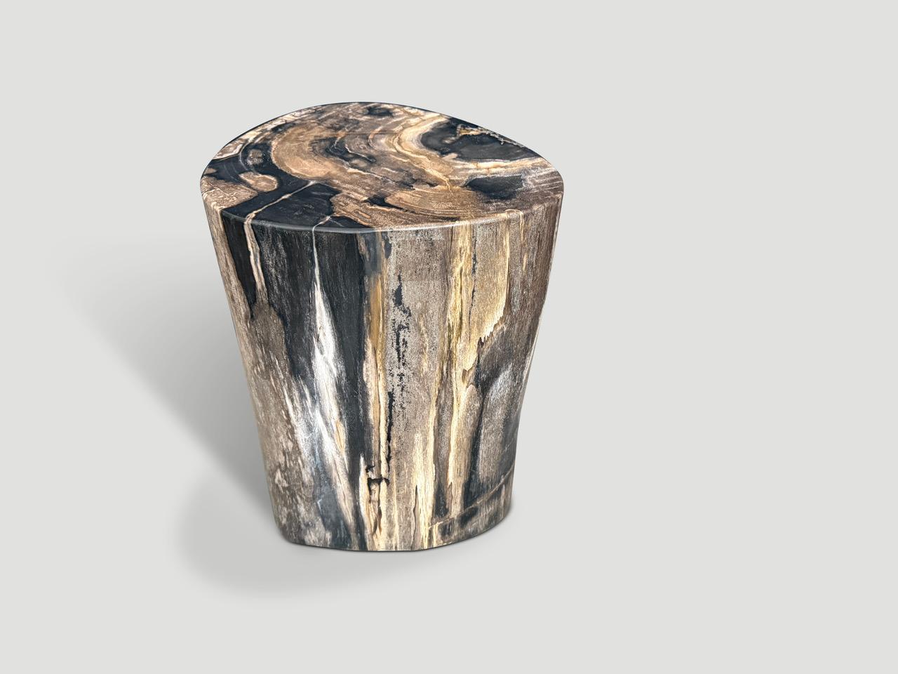 Organic Modern Andrianna Shamaris High Quality Petrified Wood Side Table For Sale