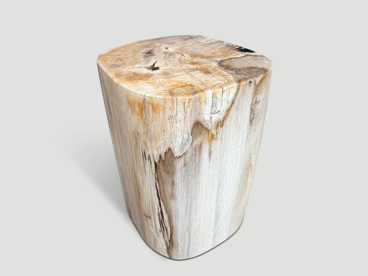 Organic Modern Andrianna Shamaris High Quality Petrified Wood Side Table For Sale