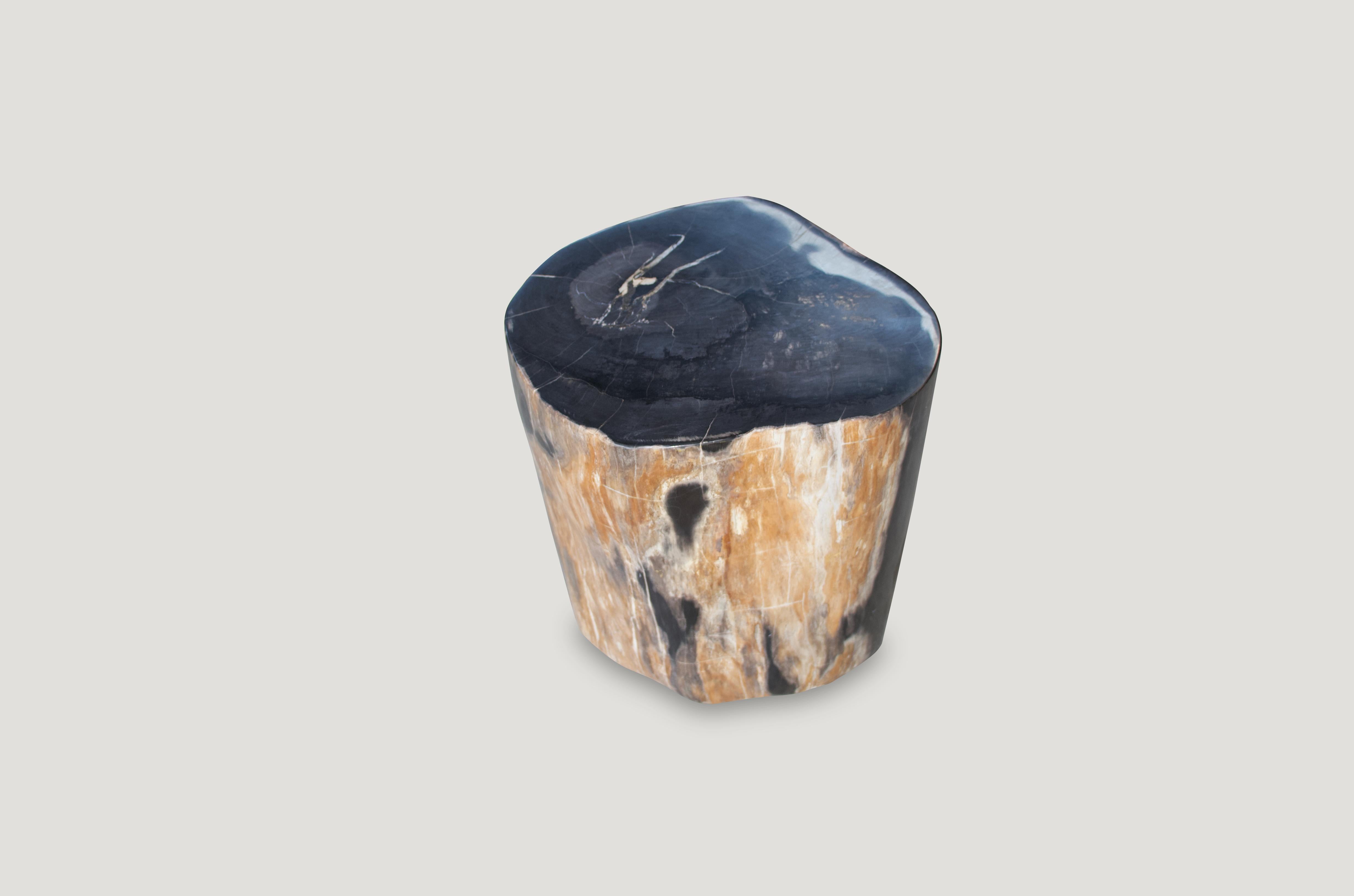 Andrianna Shamaris High Quality Petrified Wood Side Table In Excellent Condition In New York, NY