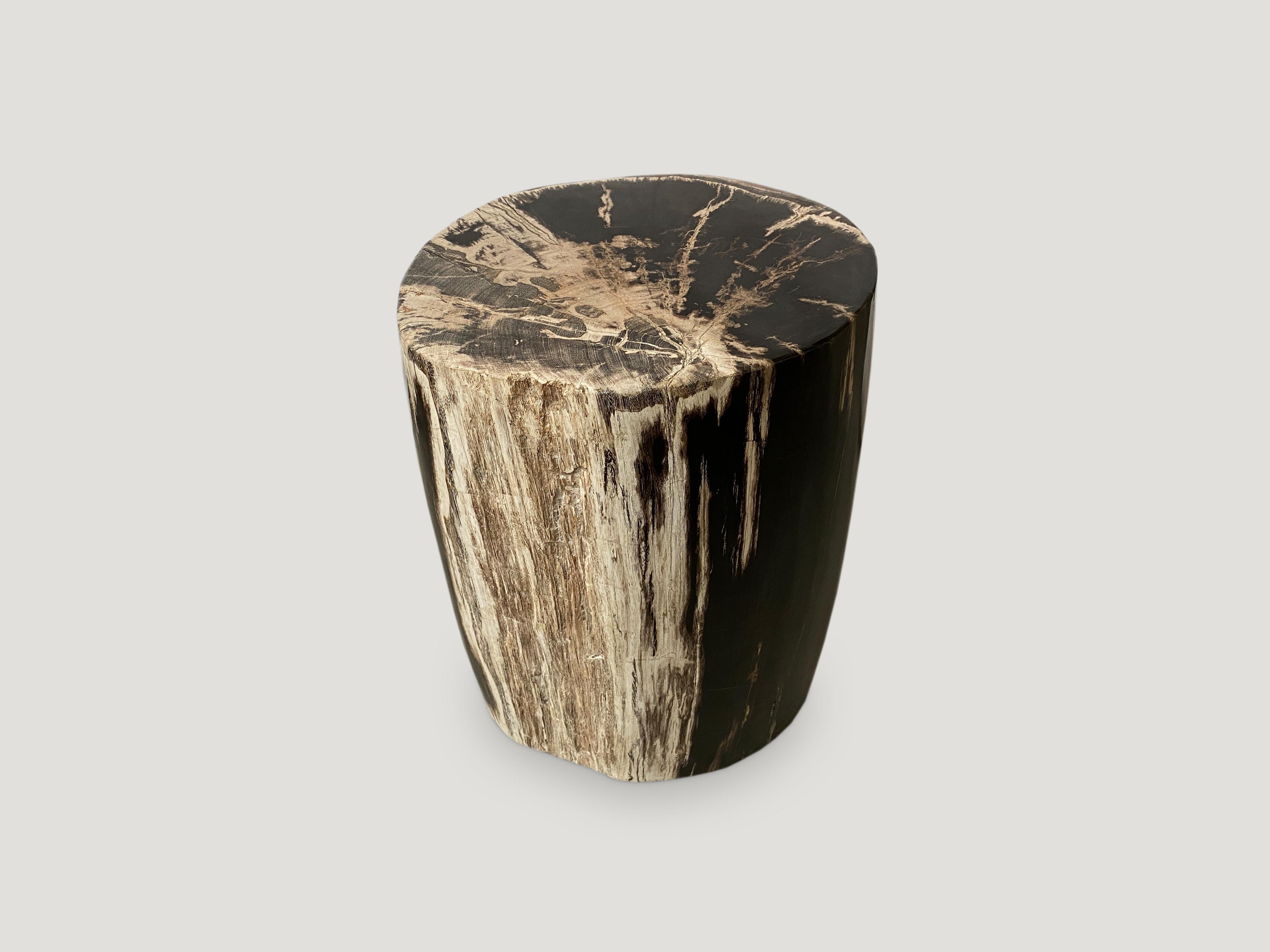 Organic Modern Andrianna Shamaris High Quality Petrified Wood Side Table