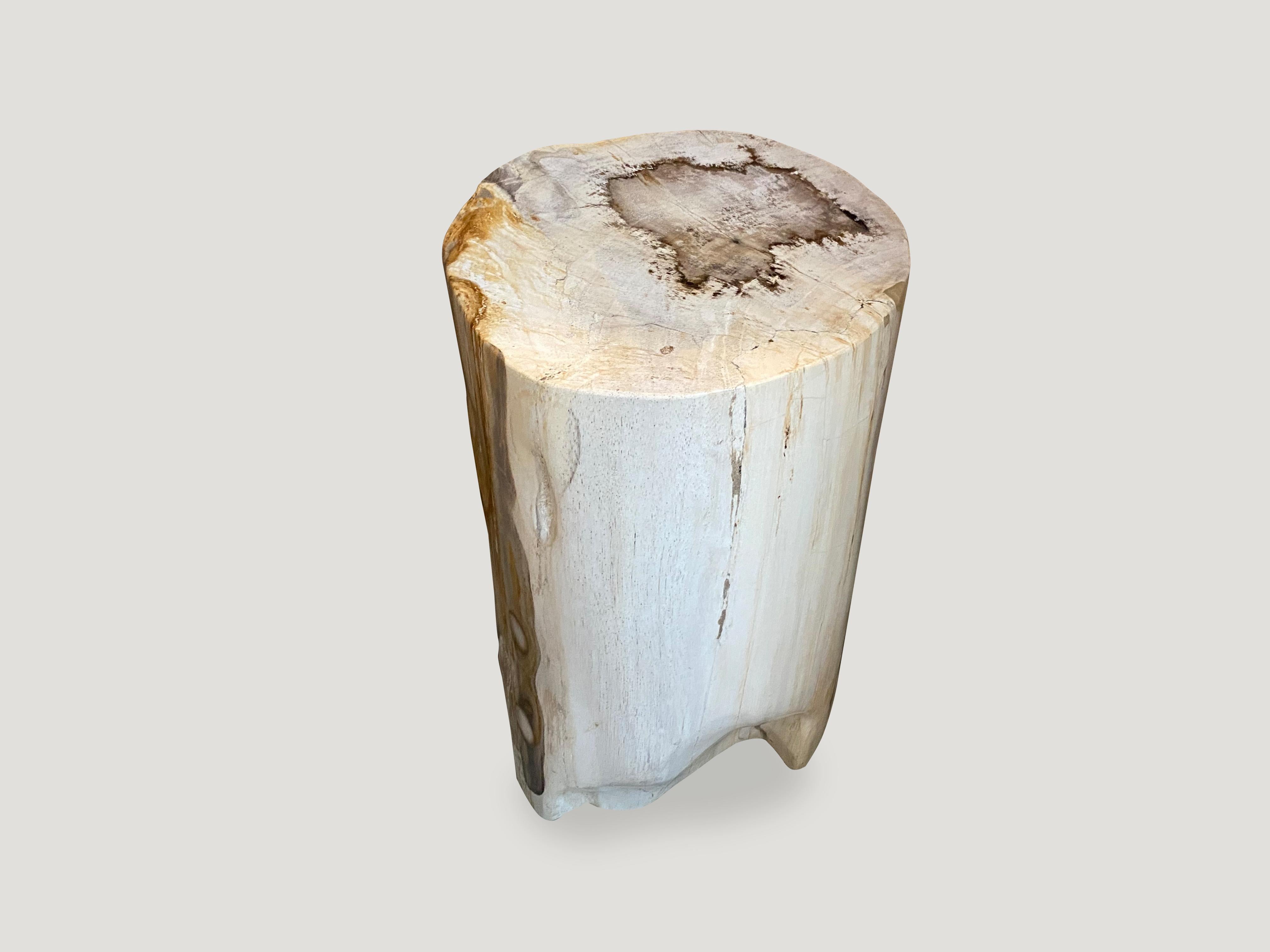 Andrianna Shamaris High Quality Petrified Wood Side Table In Excellent Condition In New York, NY