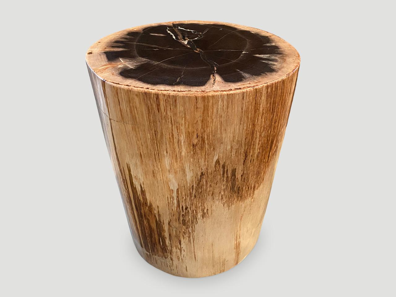 Beistelltisch aus versteinertem Holz von hoher Qualität im Zustand „Hervorragend“ im Angebot in New York, NY