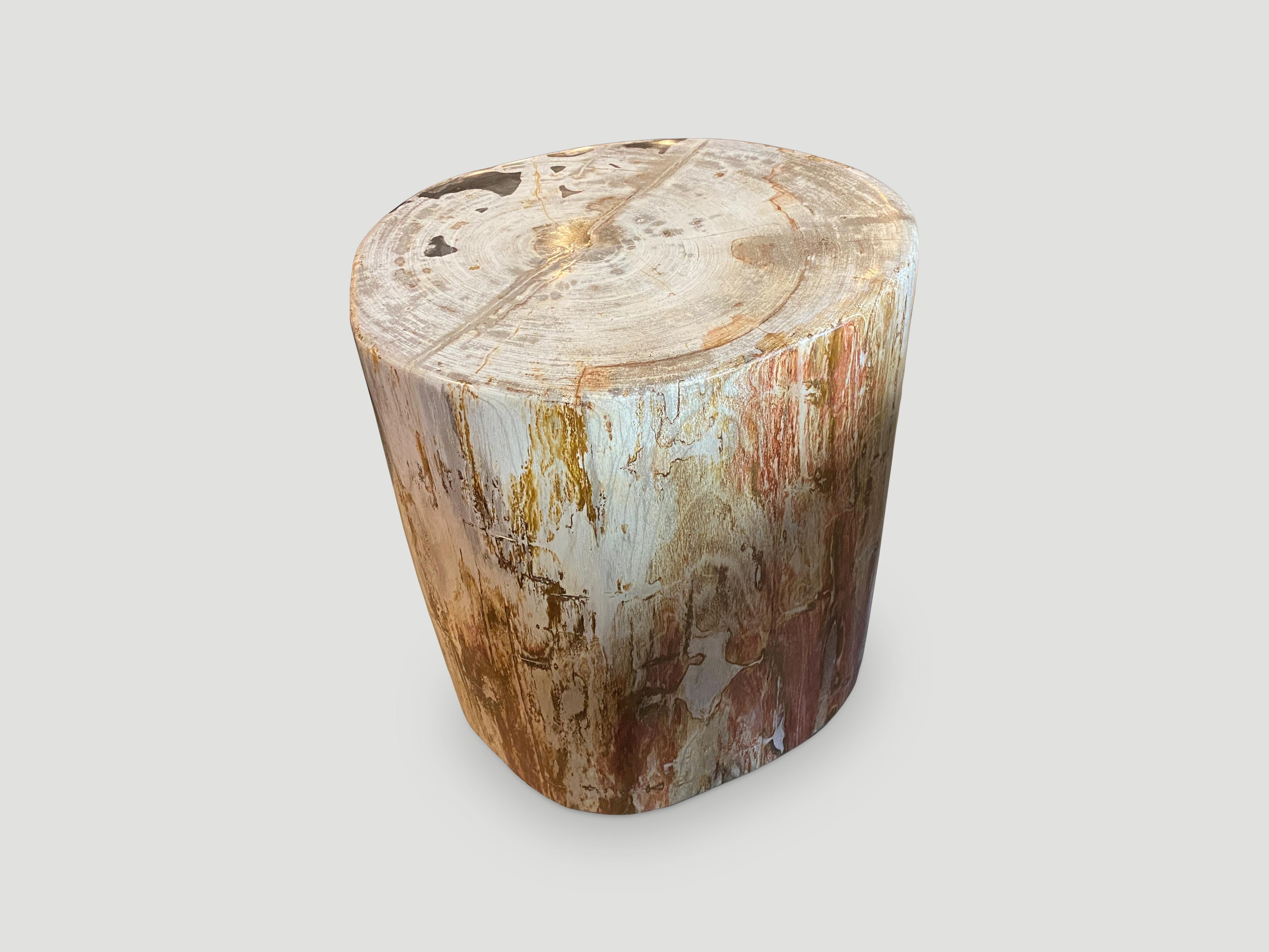 Andrianna Shamaris Hochwertiger Beistelltisch aus versteinertem Holz im Zustand „Hervorragend“ im Angebot in New York, NY