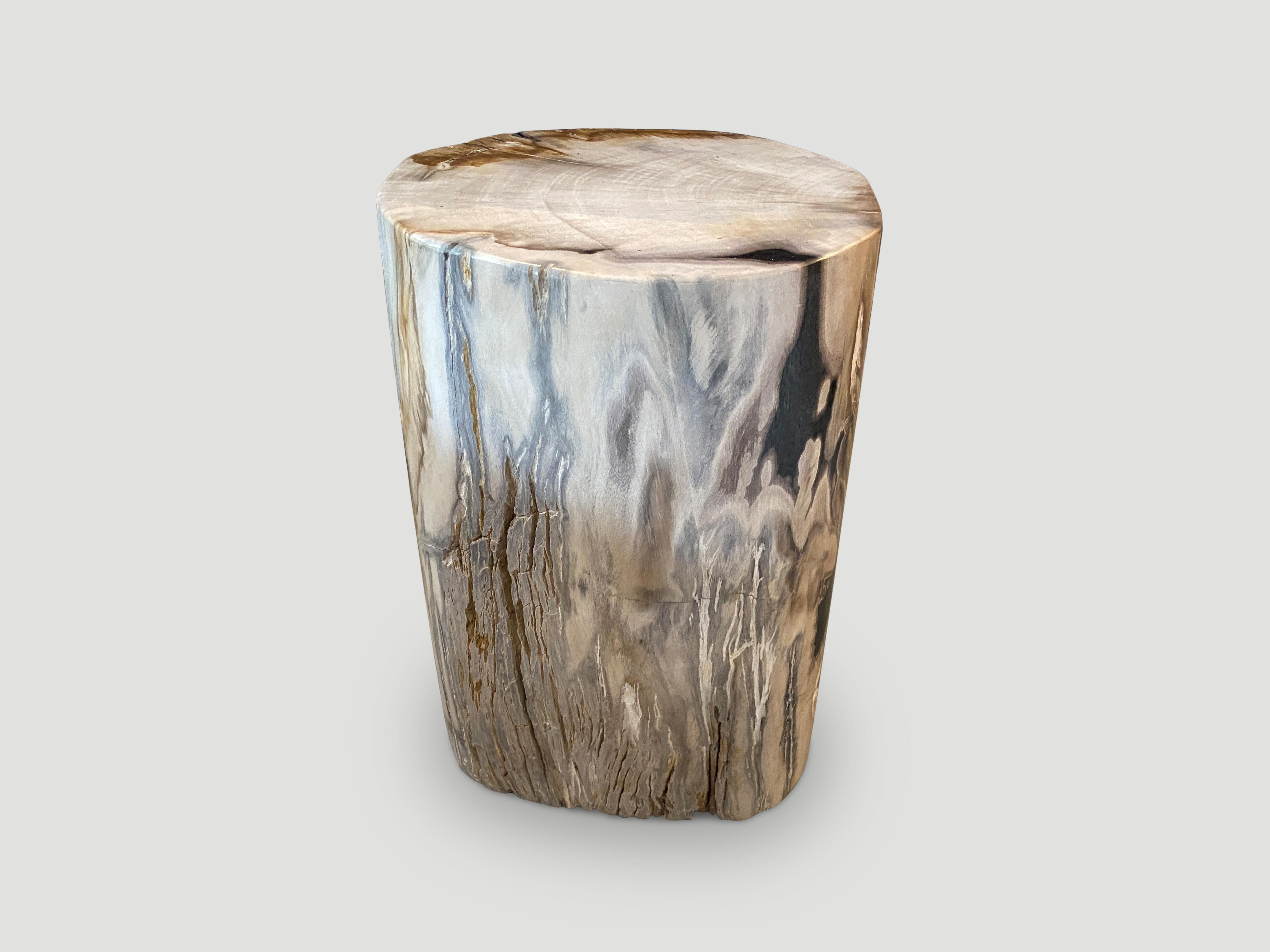 Andrianna Shamaris High Quality Petrified Wood Side Table In Excellent Condition In New York, NY