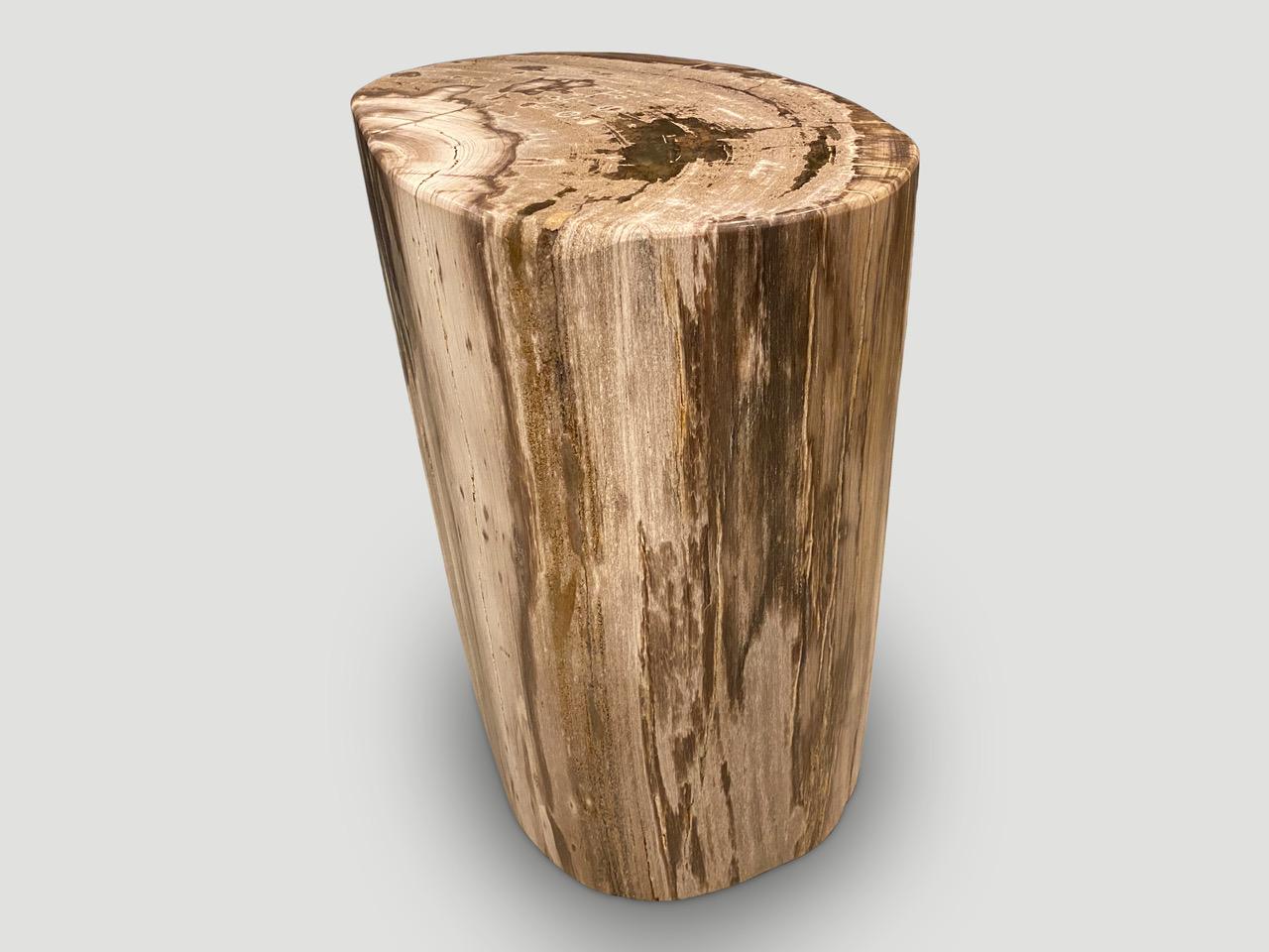 Andrianna Shamaris High Quality Petrified Wood Side Table In Excellent Condition For Sale In New York, NY