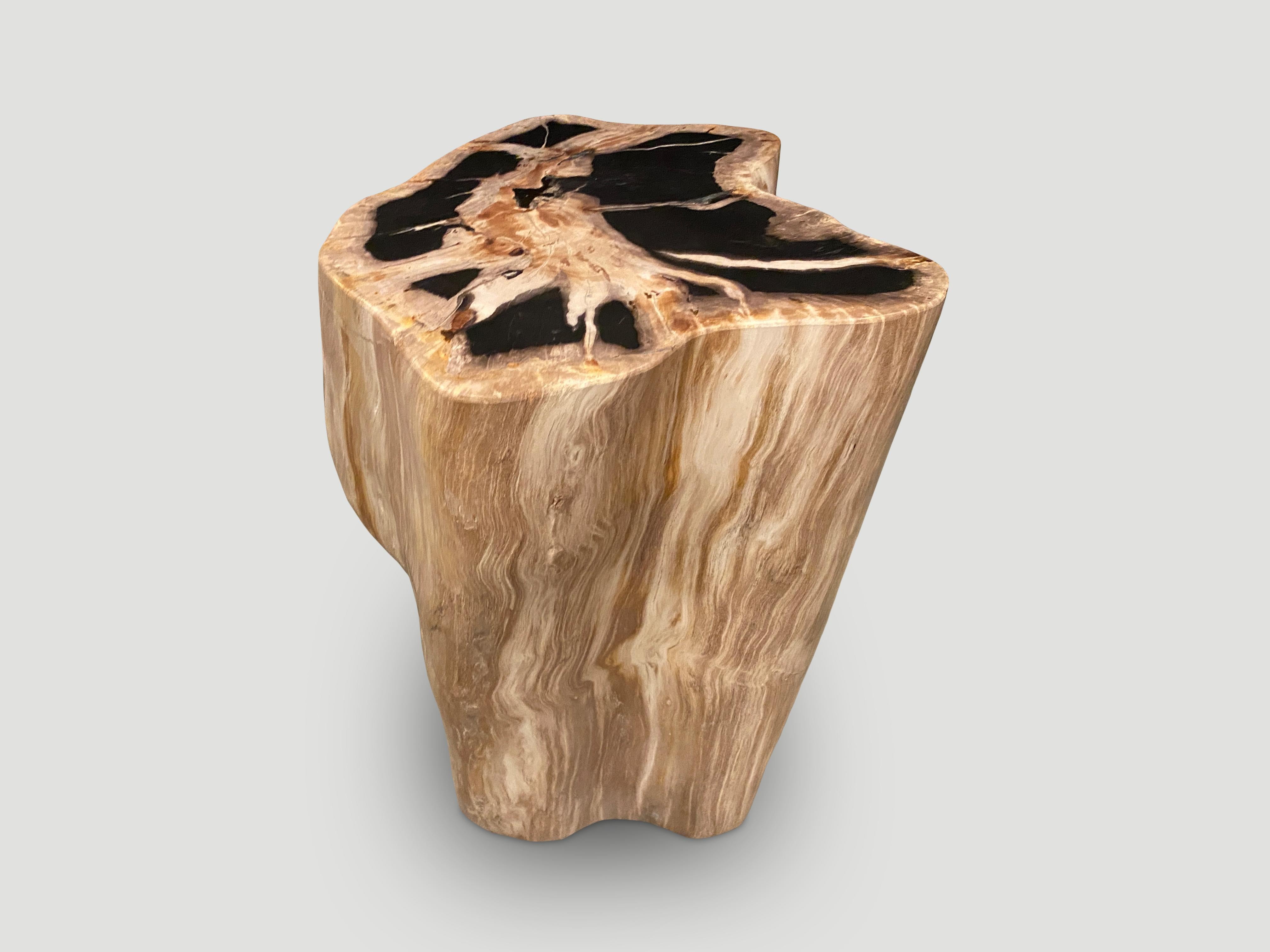 Andrianna Shamaris High Quality Petrified Wood Side Table In Excellent Condition In New York, NY