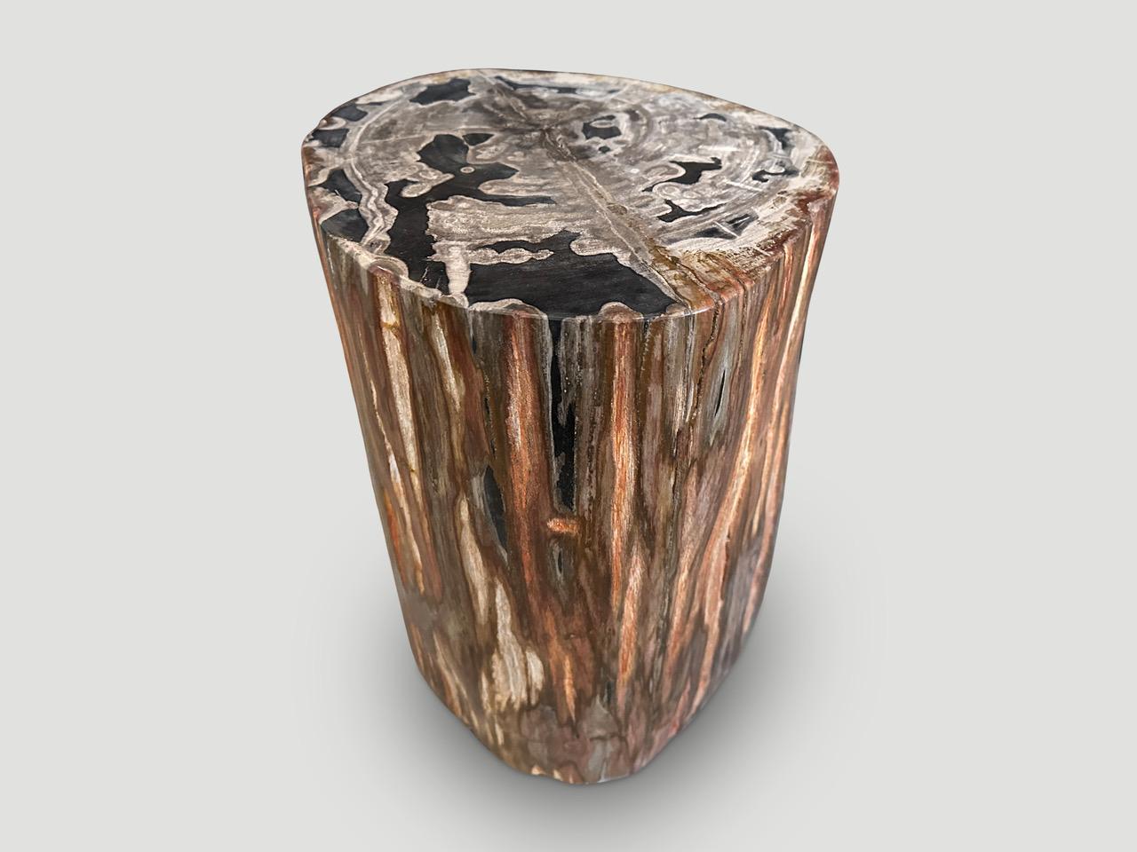 Andrianna Shamaris High Quality Petrified Wood Side Table In Excellent Condition For Sale In New York, NY