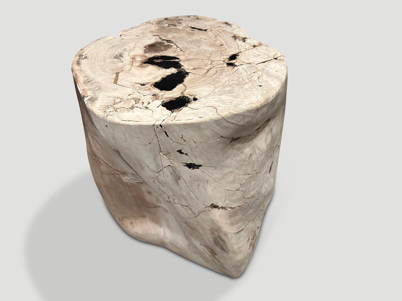 Andrianna Shamaris High Quality Petrified Wood Side Table  In Excellent Condition In New York, NY