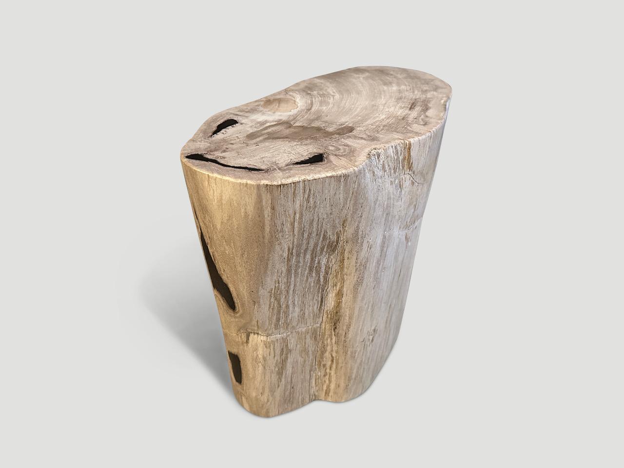 Andrianna Shamaris High Quality Petrified Wood Side Table  In Excellent Condition For Sale In New York, NY