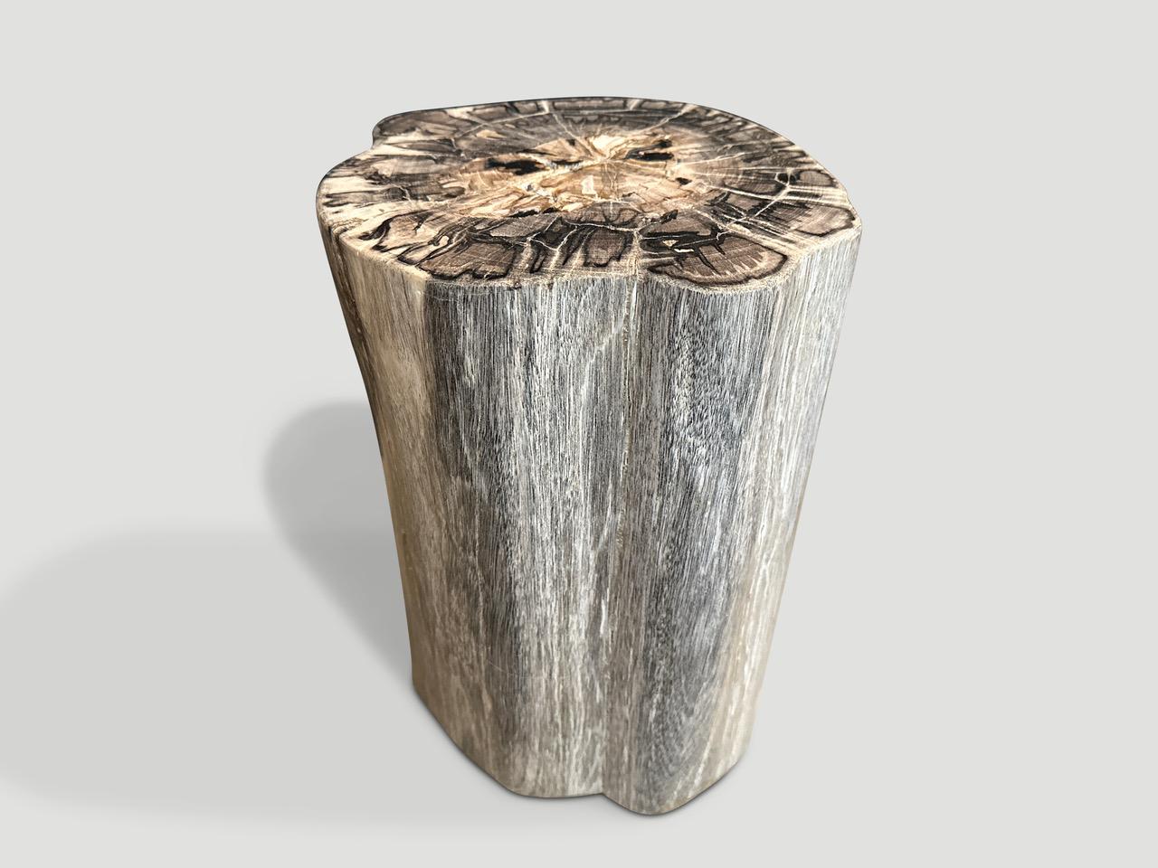 Andrianna Shamaris table d'appoint en bois pétrifié de haute qualité Excellent état - En vente à New York, NY